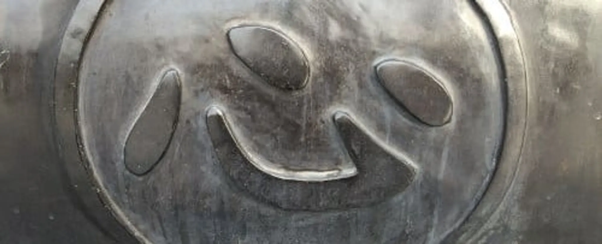 Fujian White Crane Kung Fu and Tai Chi