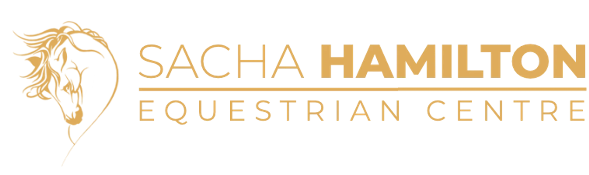 Sacha Hamilton Equestrian