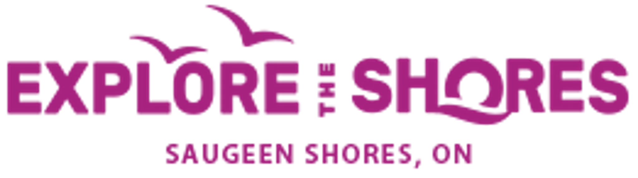 Saugeen Shores Rotary Skate Park