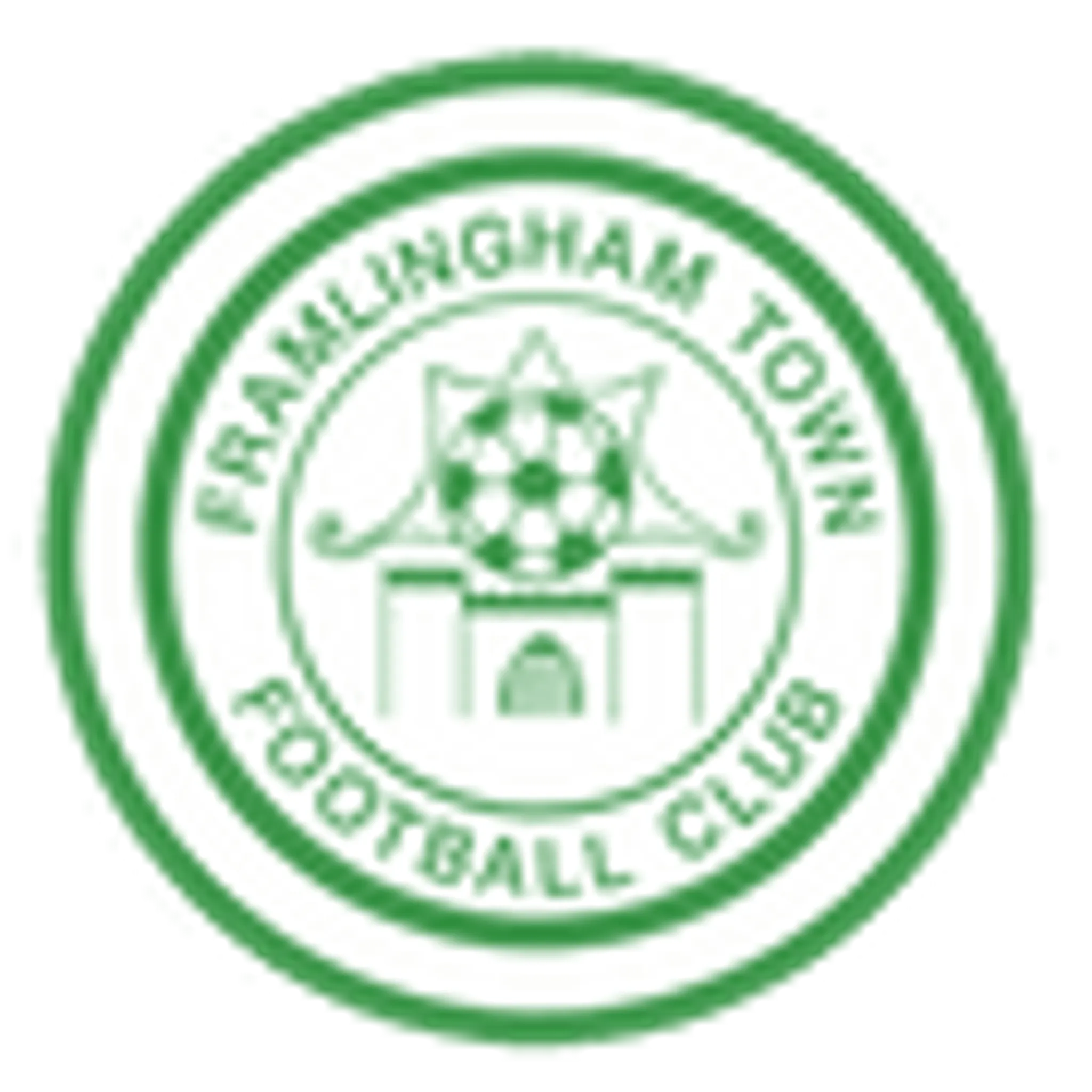 Framlingham Town Football Club