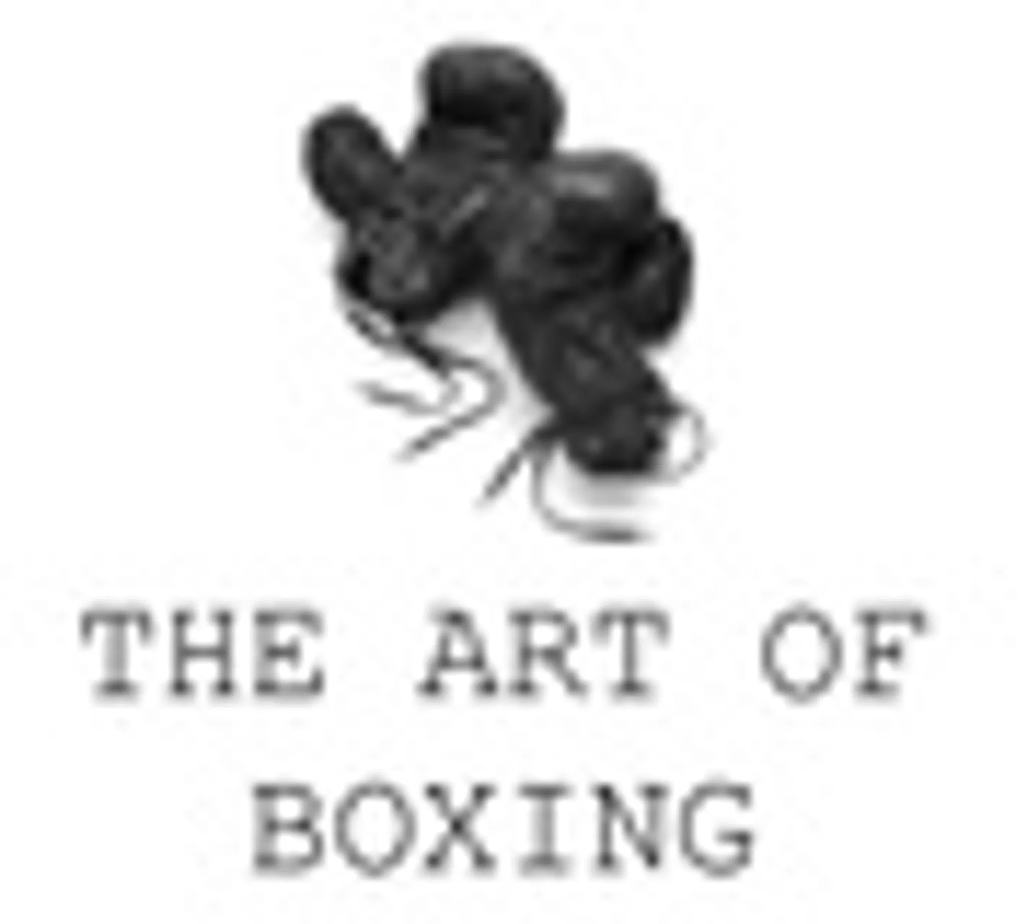 The Art of Boxing Training Studio