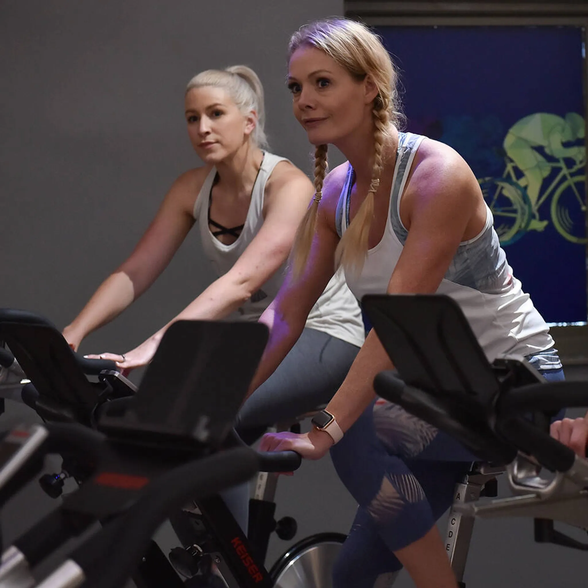 Free Membership Offer