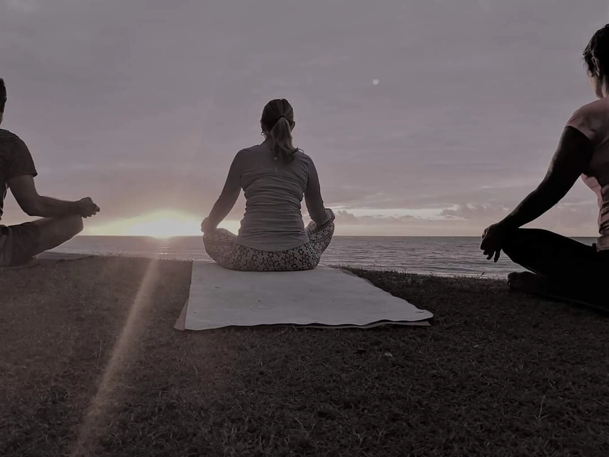 Palm Cove Yoga Timetable