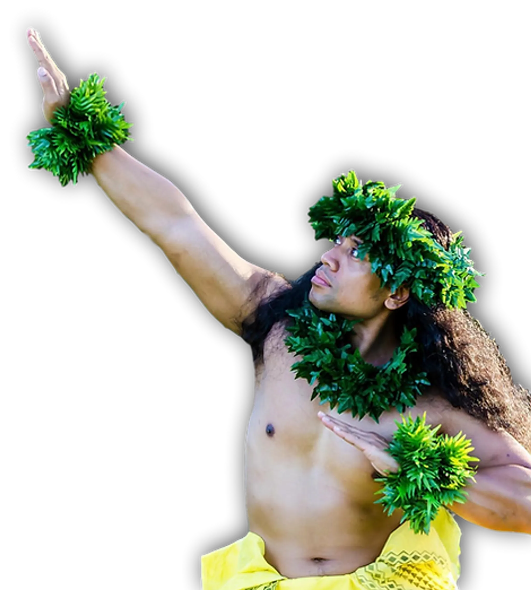 Heilani Polynesian School of Arts