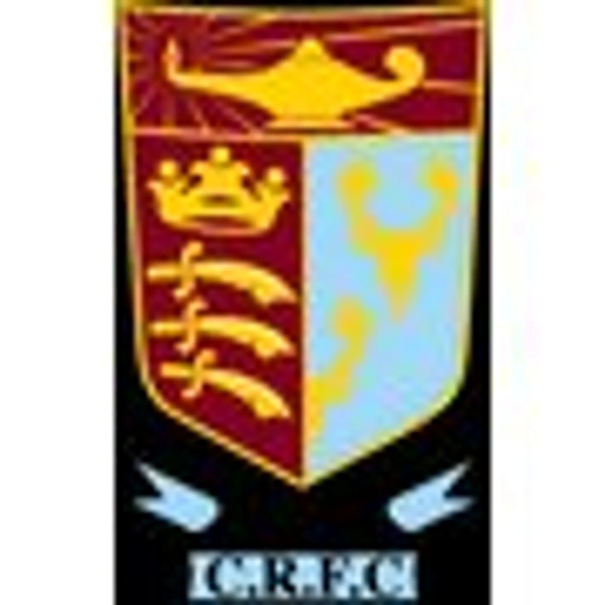 Chiswick Rugby Football Club - Juniors