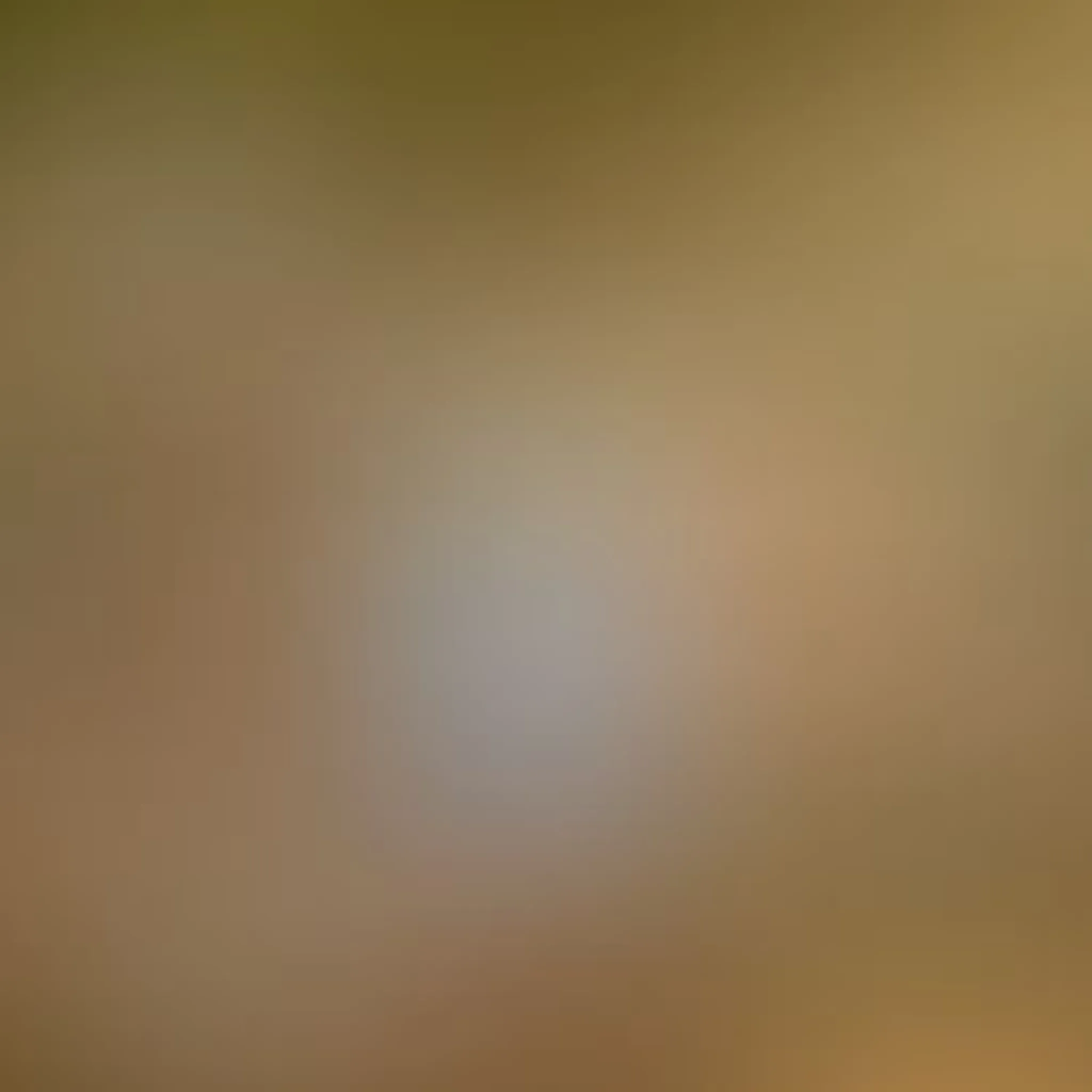 Primal Fitness Hub Monmouth and Northampton