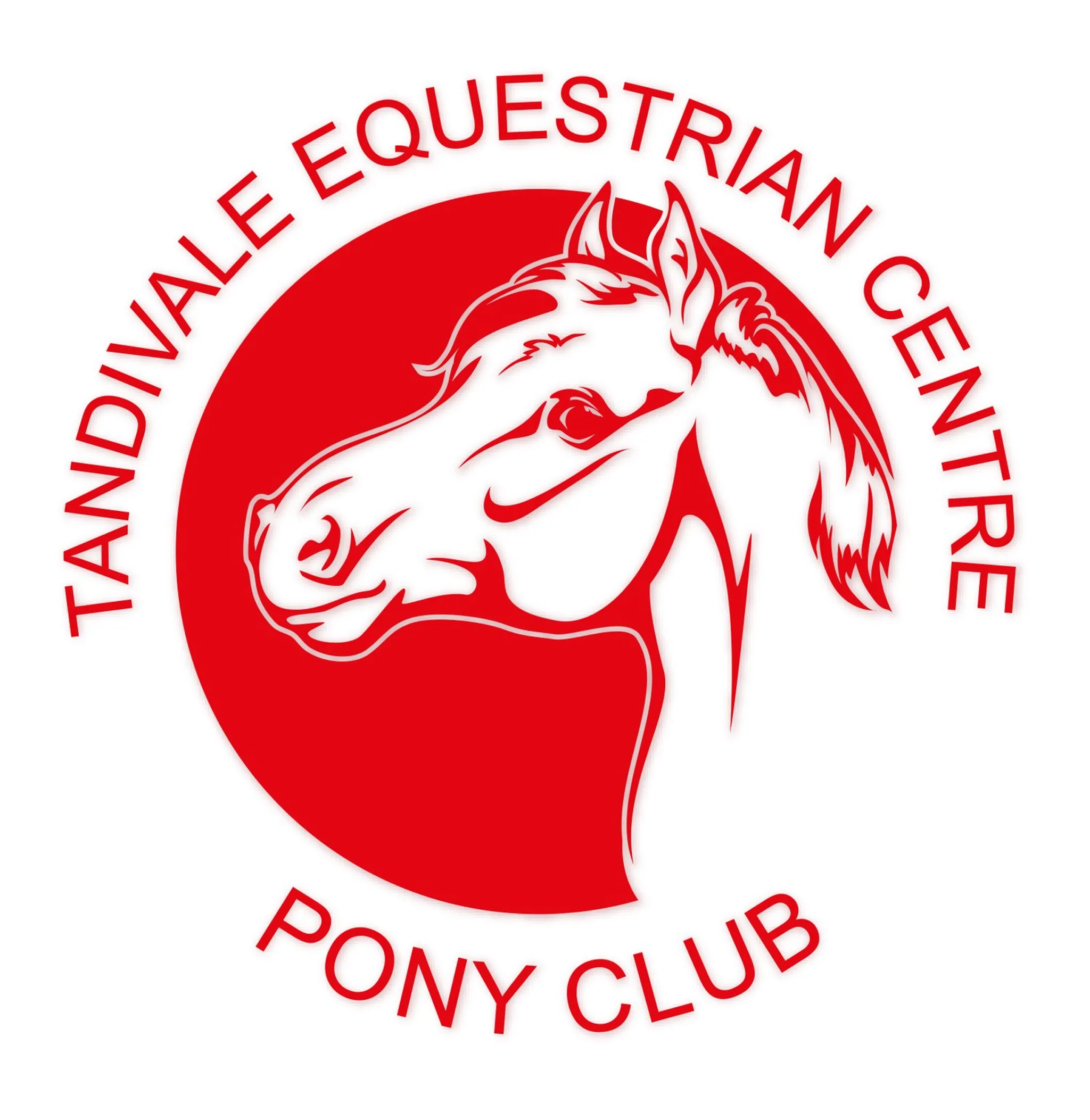 Tandivale Equestrian Centre & Pony Club