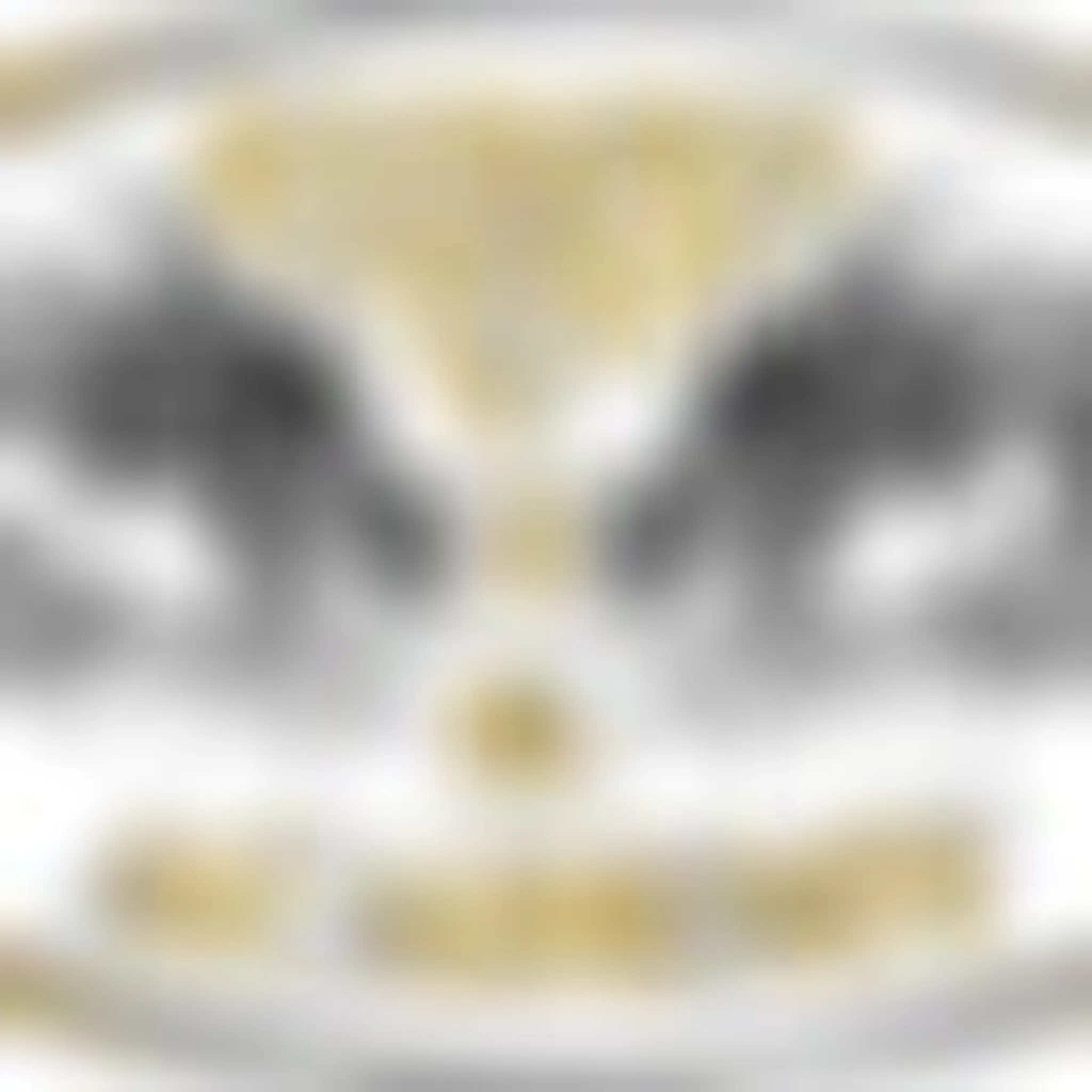 Juventus Taekwondo Academy