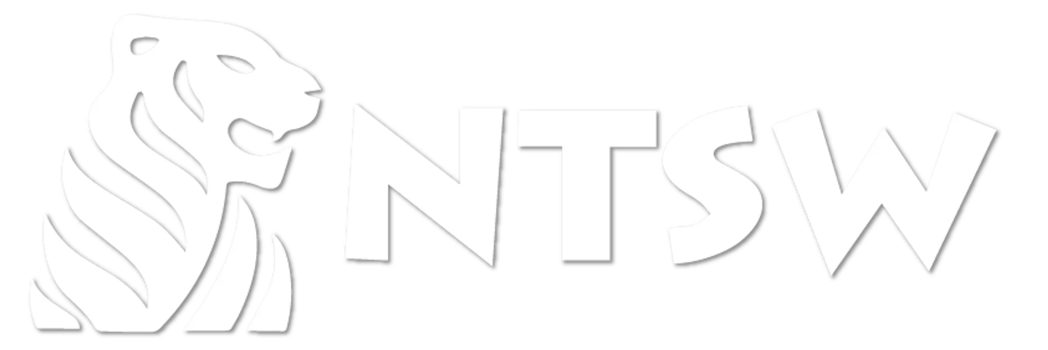 NTSW - Nikhilesh Tabhane Skates World, Virar (Palghar)