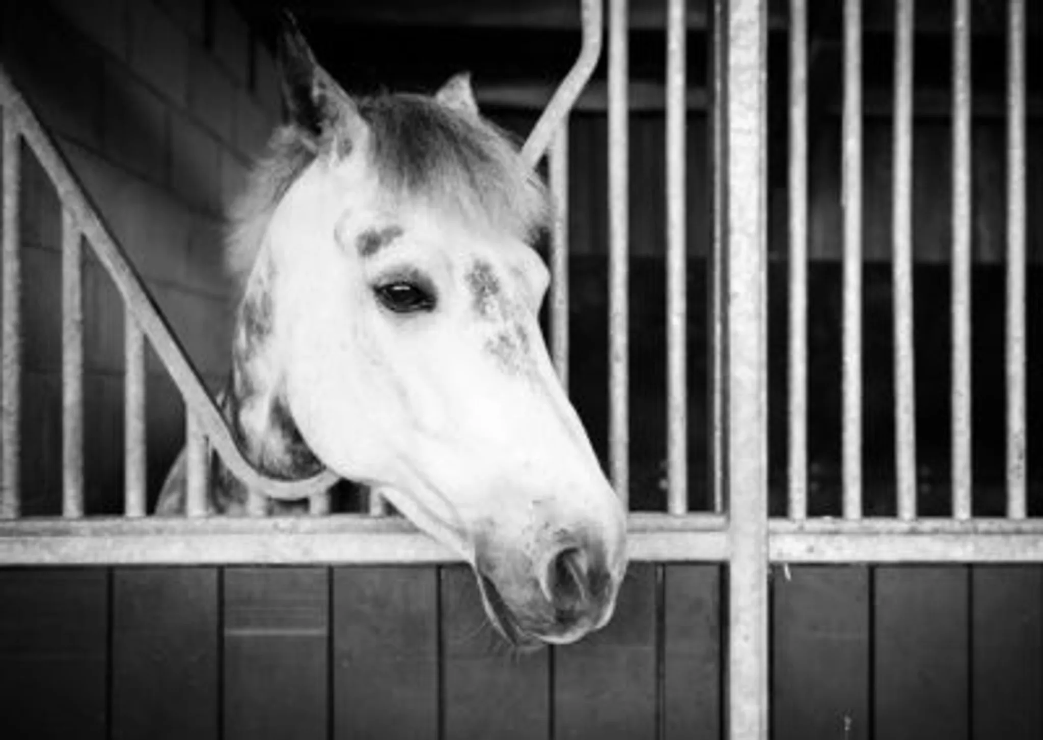 Special Halloween Trail