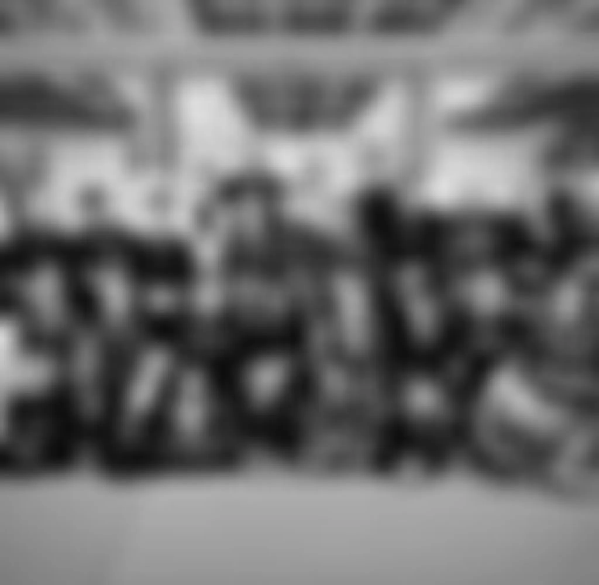 Flawless Combat Club