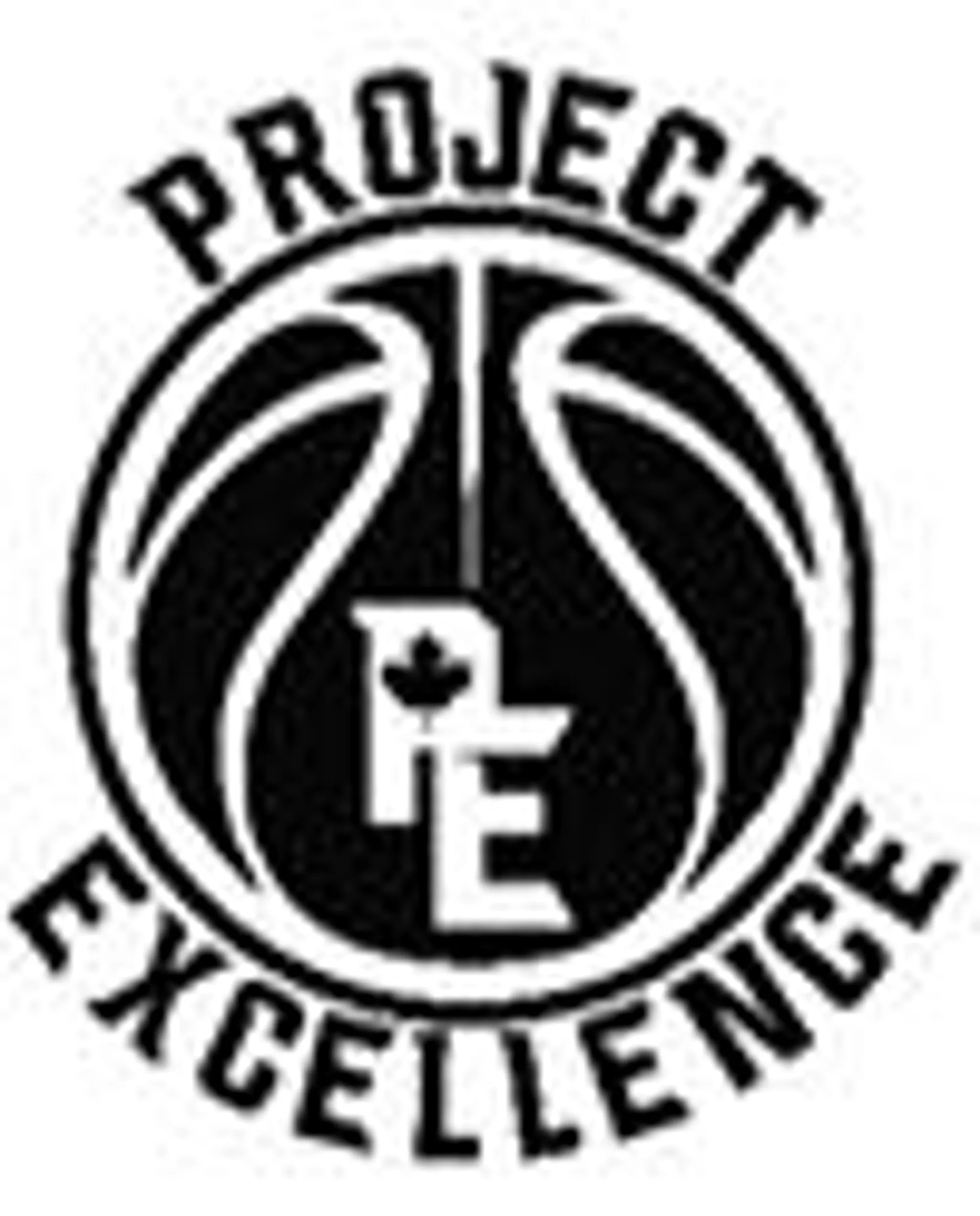 Project Excellence