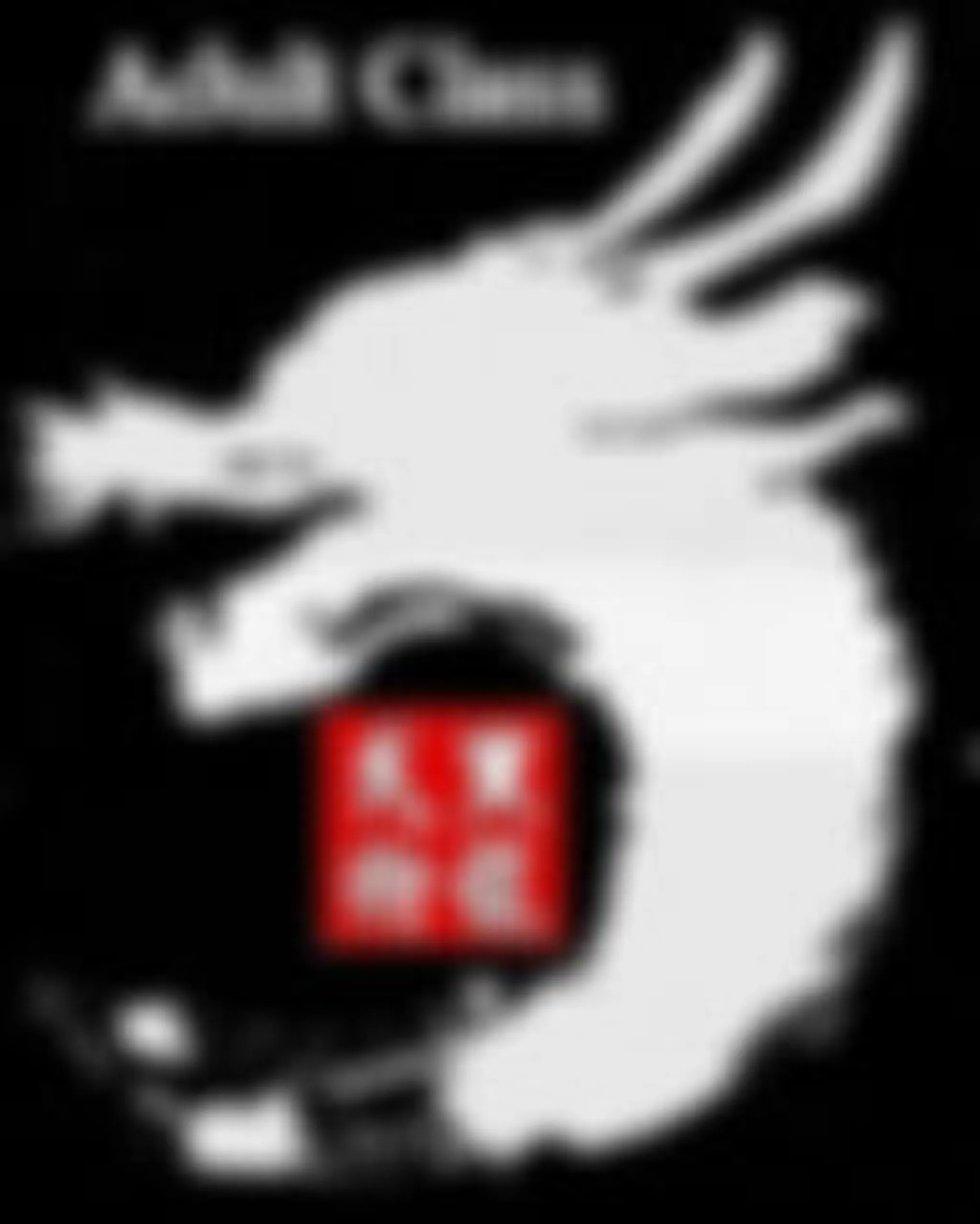 Northern Black Dragon Martial Arts