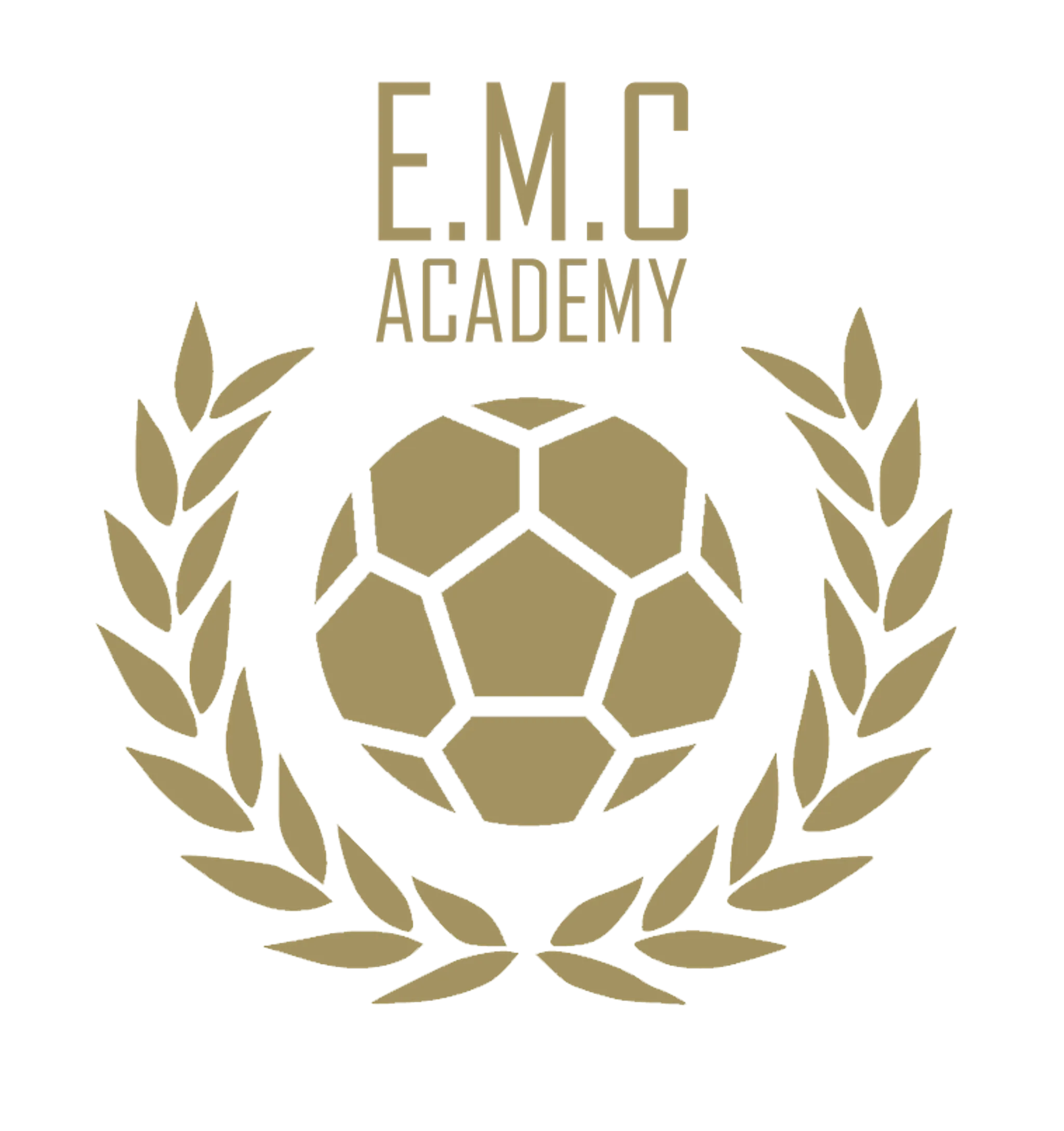 EMC Academy