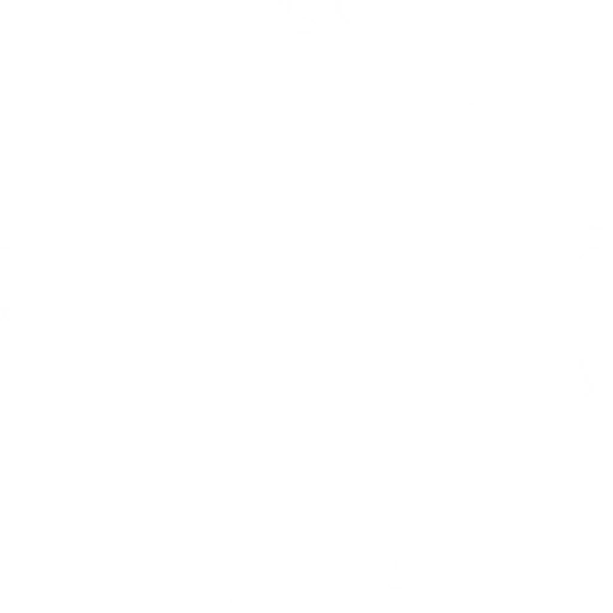 Ligue Dveloppement Dek Hockey