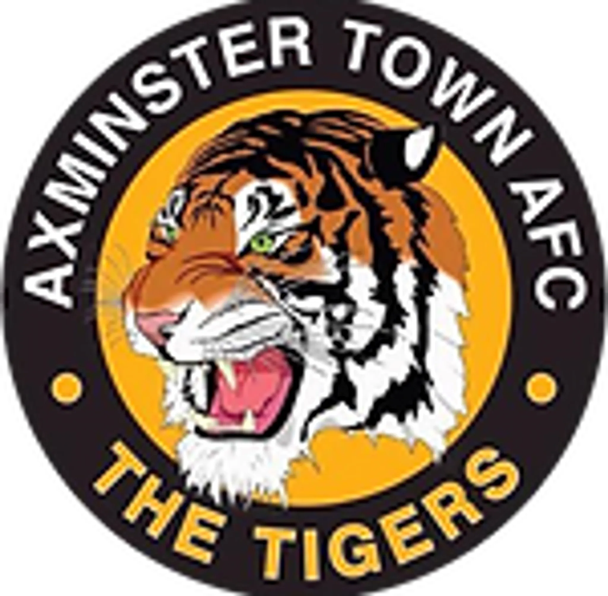 Axminster Town Football Club