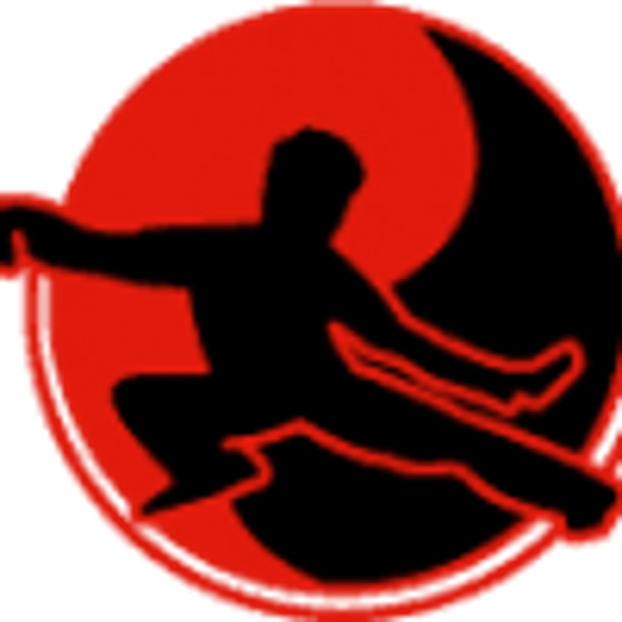 Tai-Chi Kung Fu Centre Sergio Arione