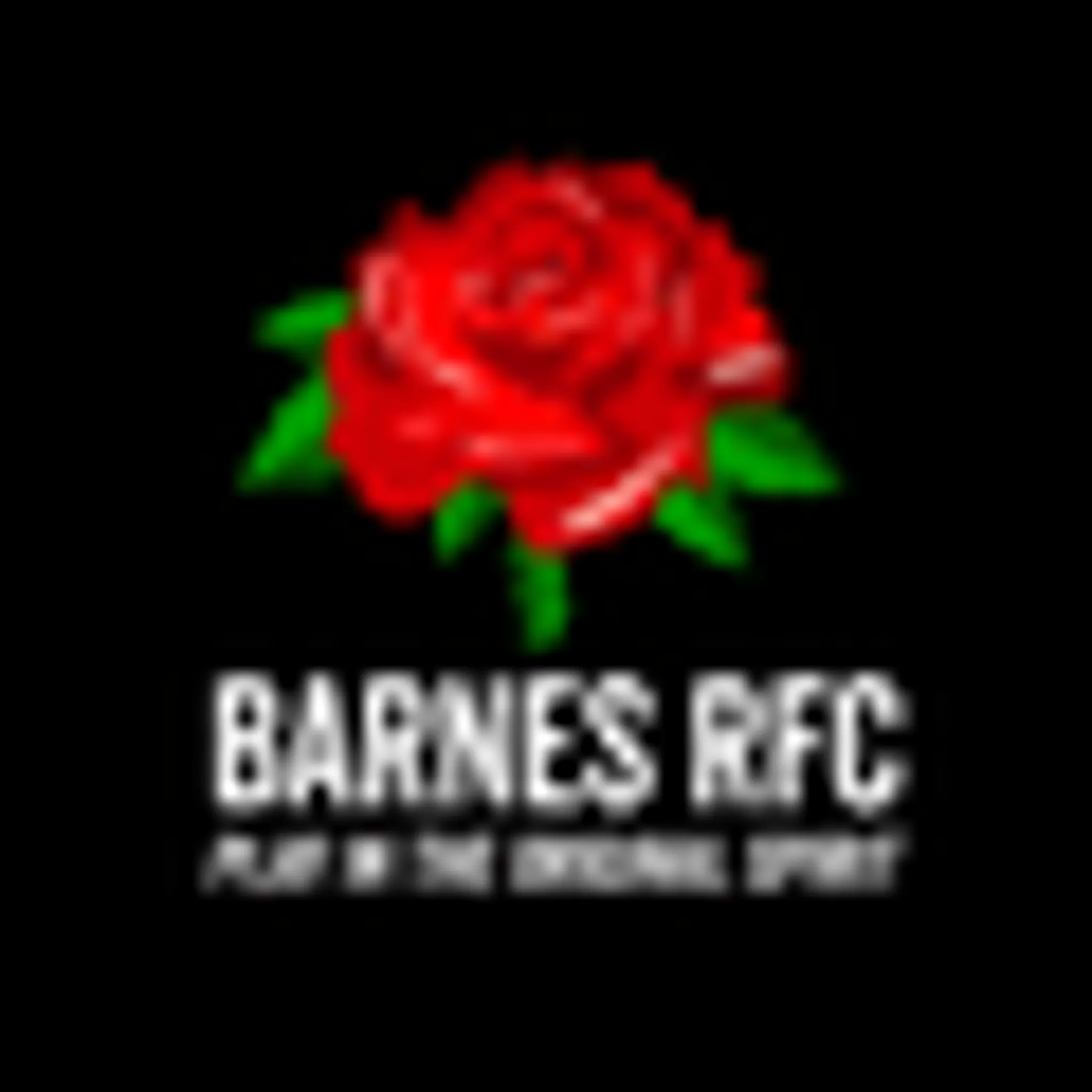 Barnes Rugby Football Club