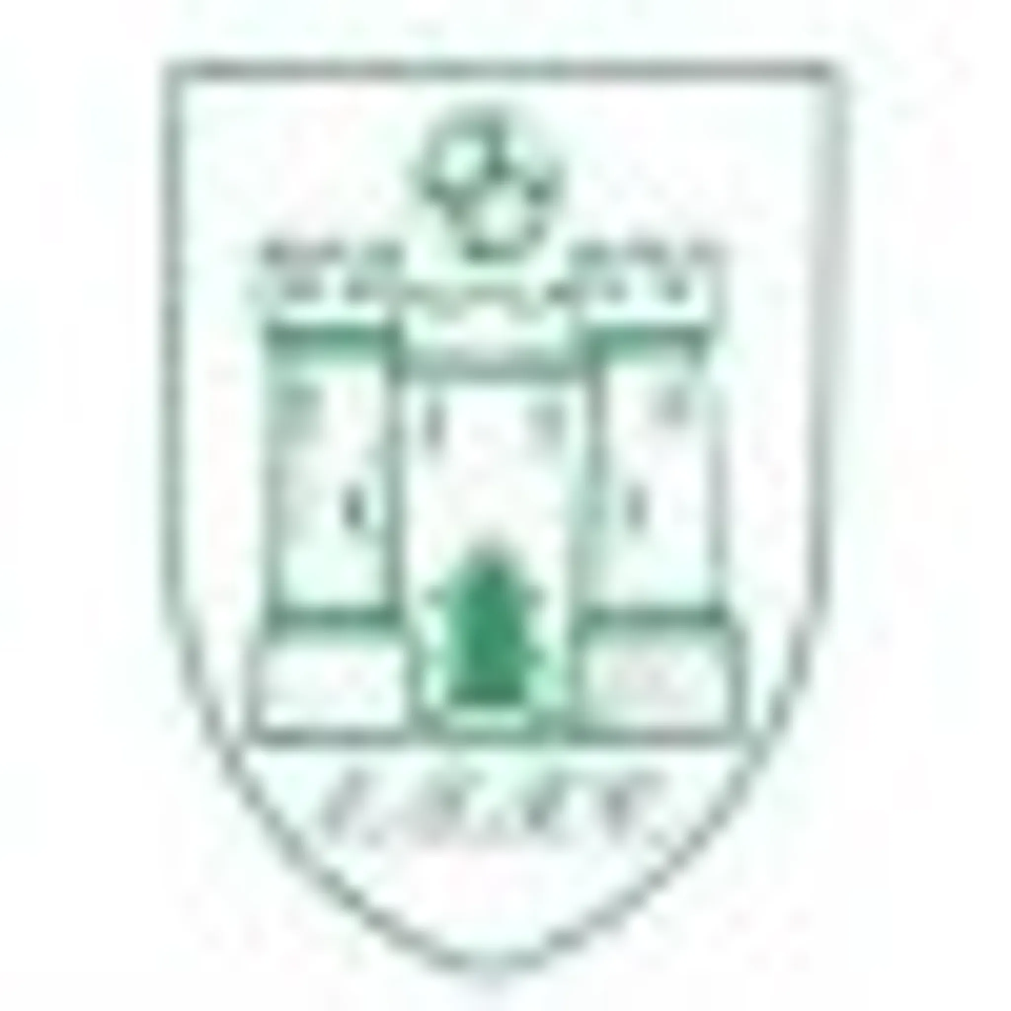 Enniscorthy Town Football Club