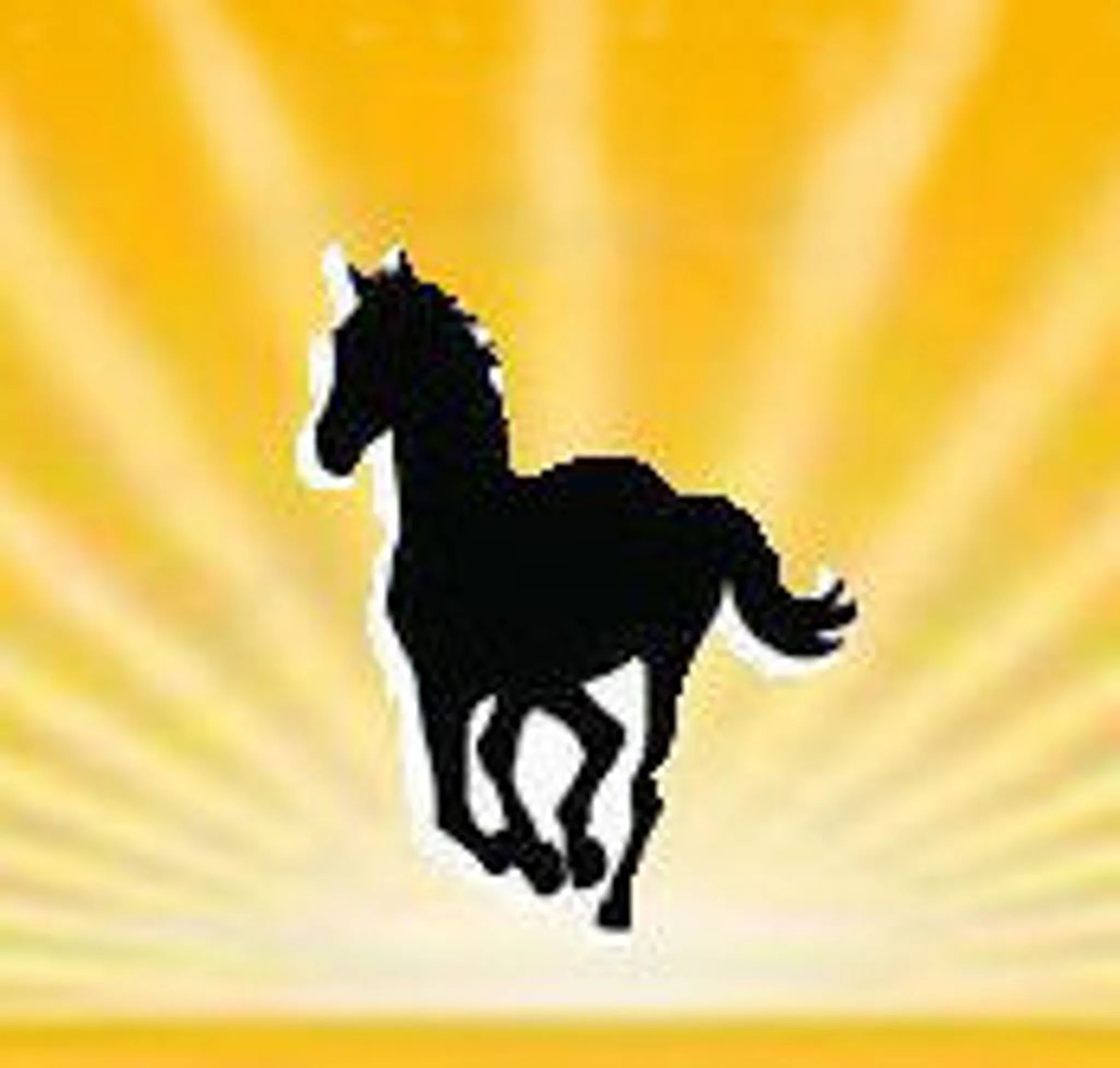 Sunshine Riding School