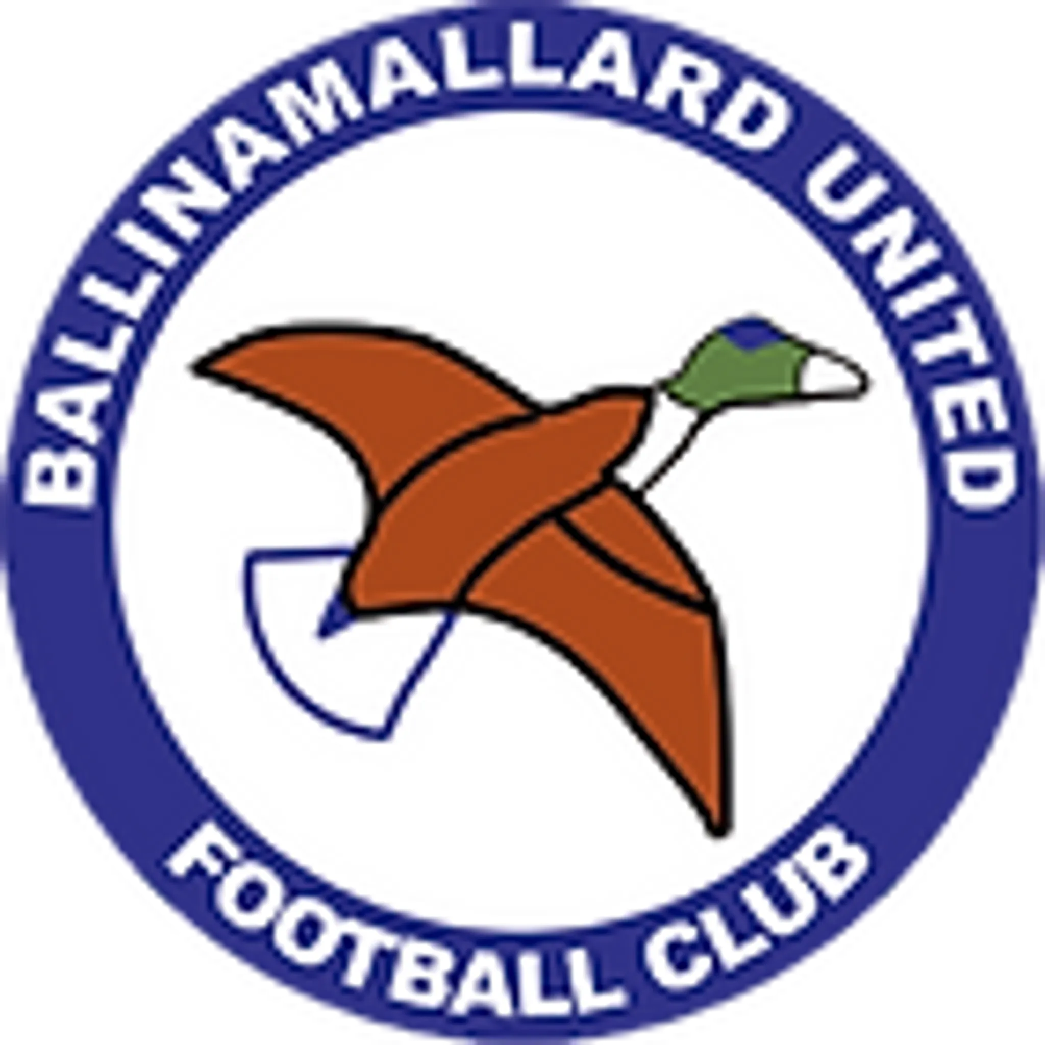 Ballinamallard United Football Club