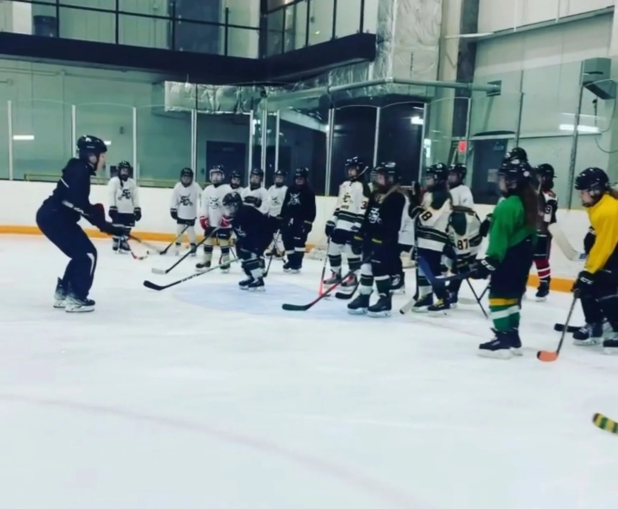 2024 Off Season Hockey Development Program