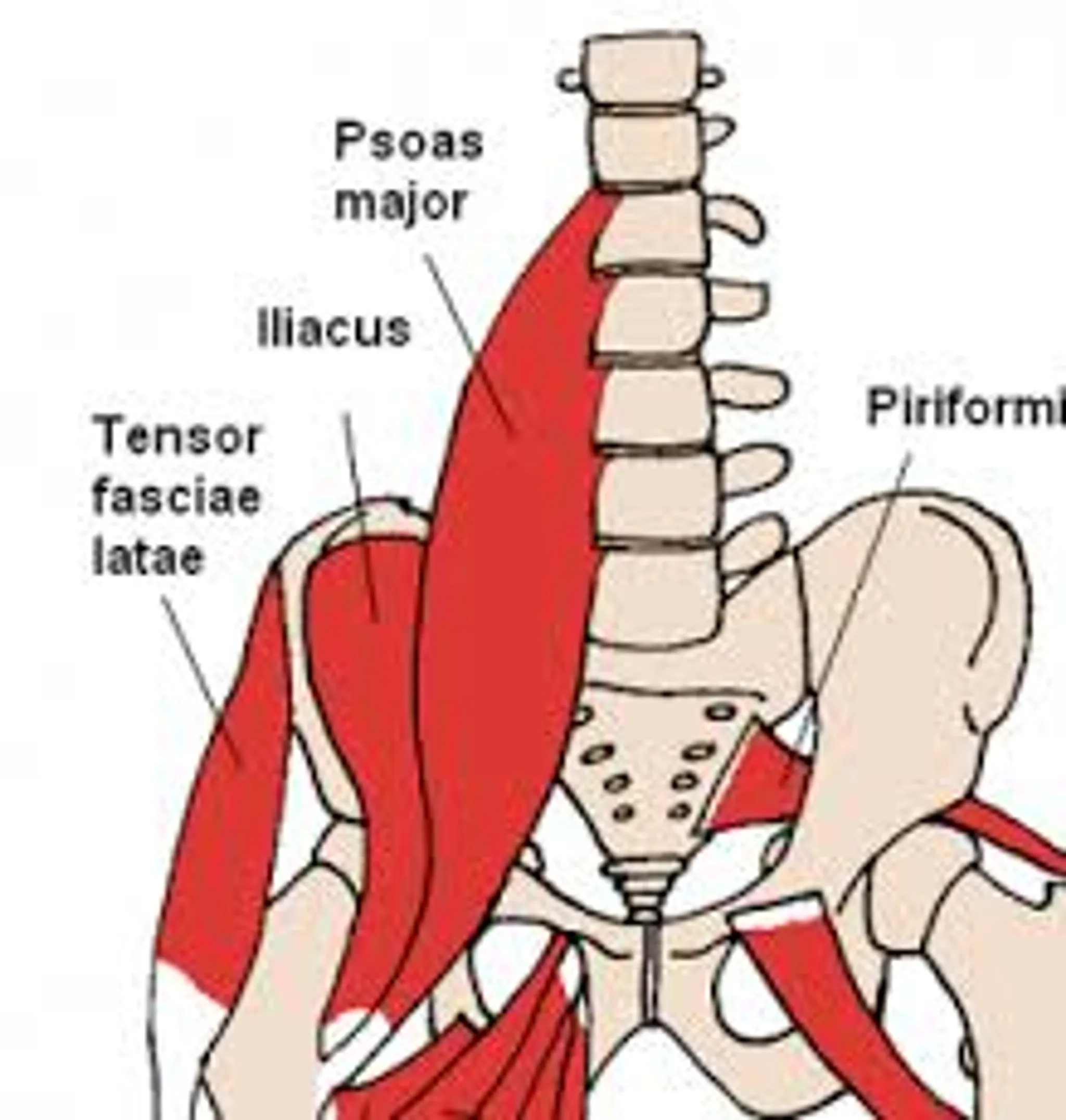 My Pilates Exercises