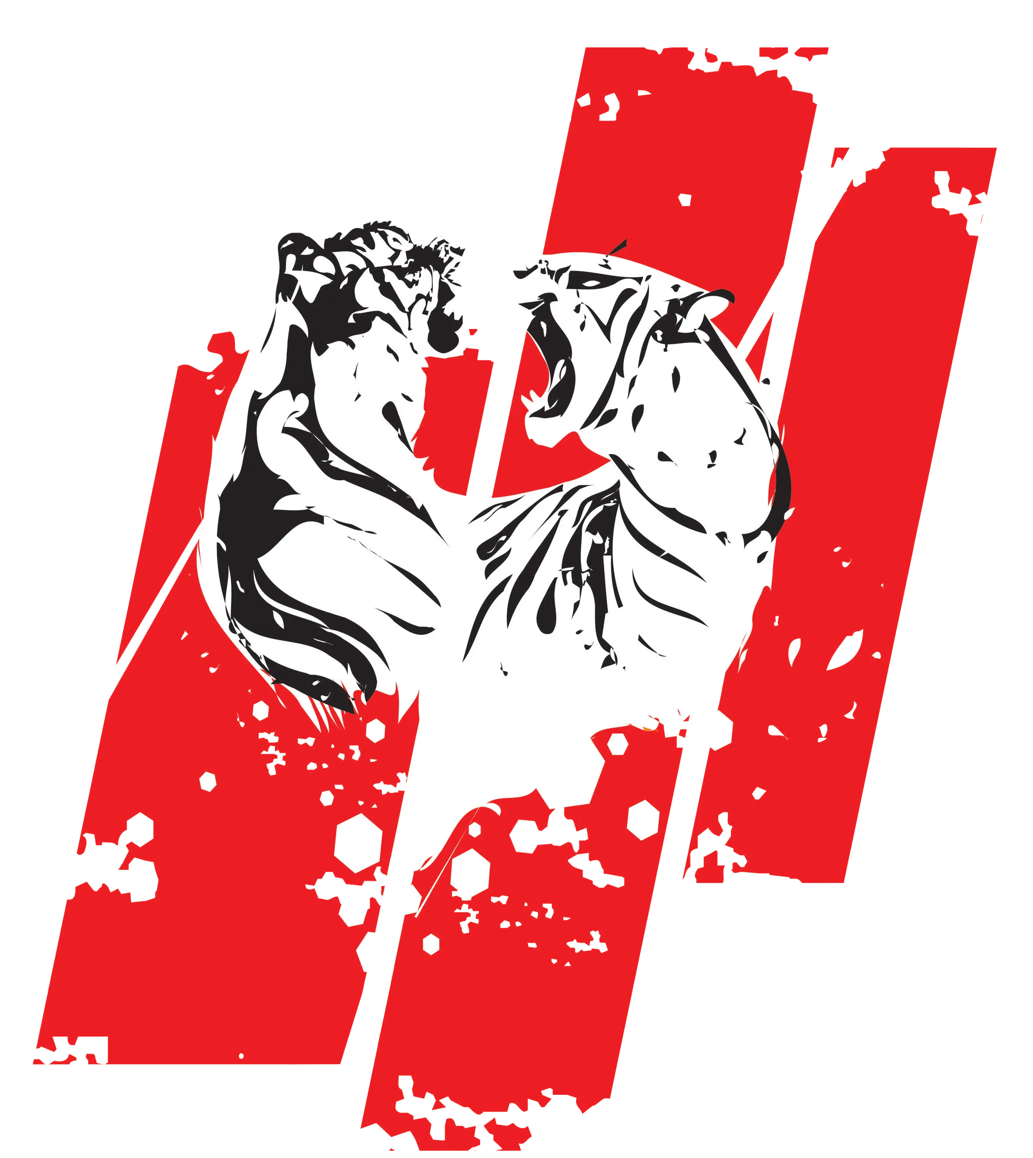 Academia Arena Combate