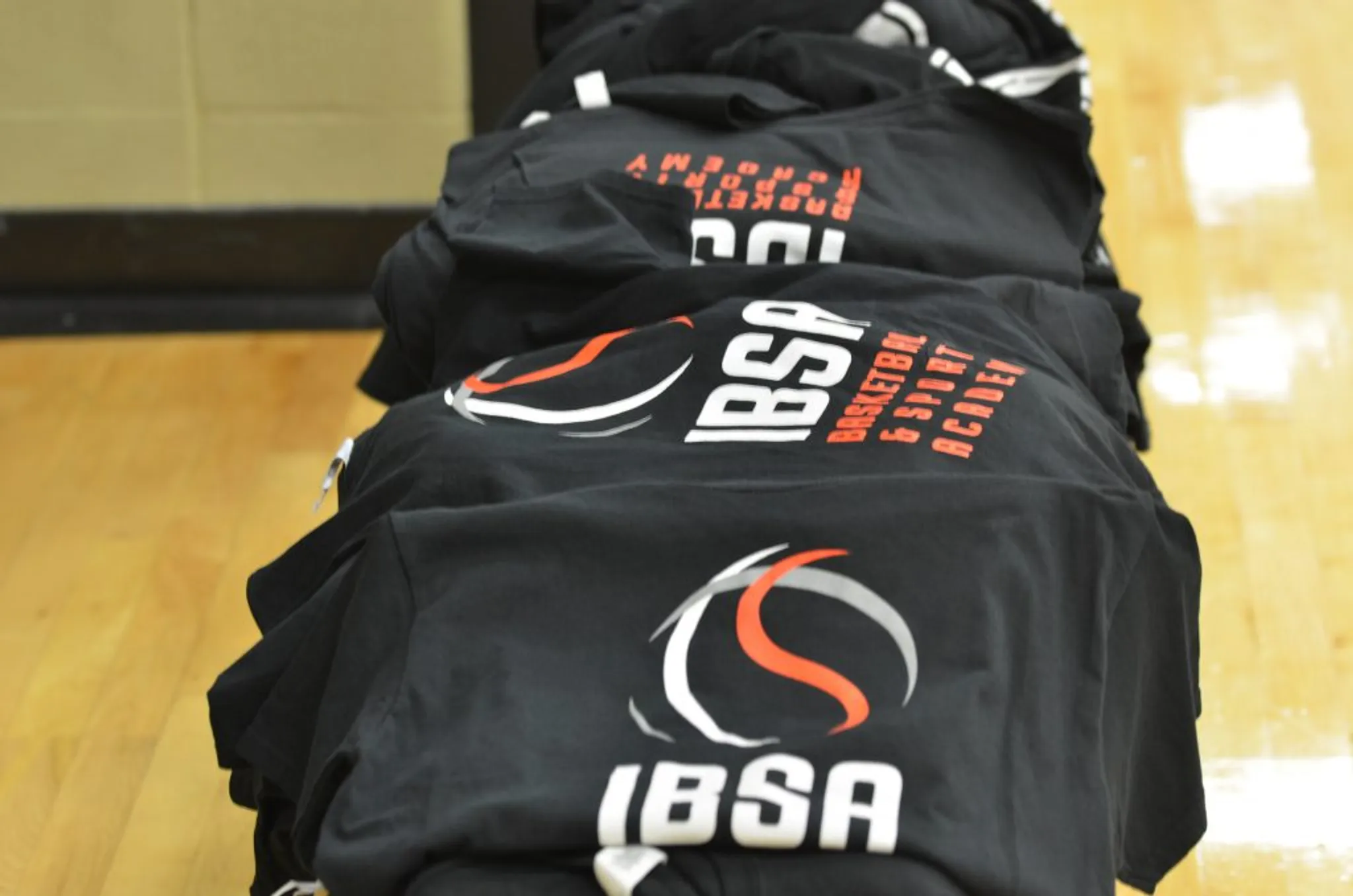 IBSA Summer Basketball Camps 2024