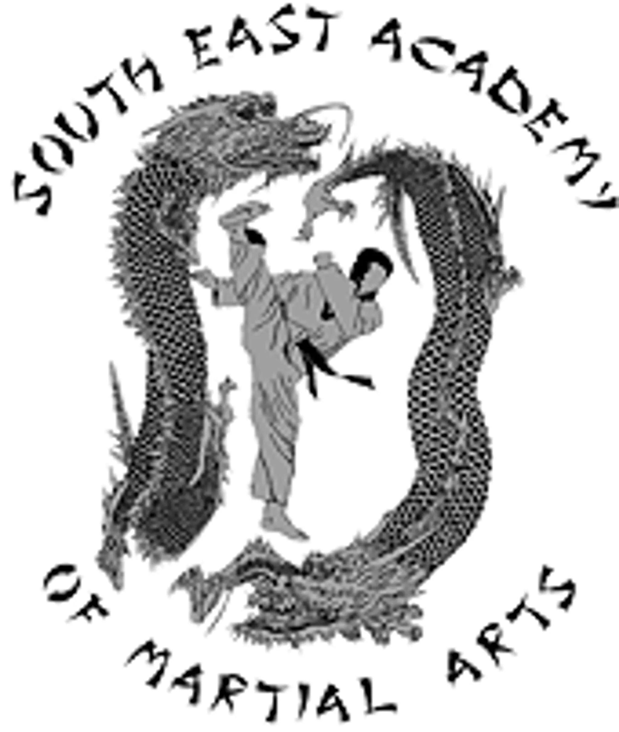 South East Academy of Martial Arts