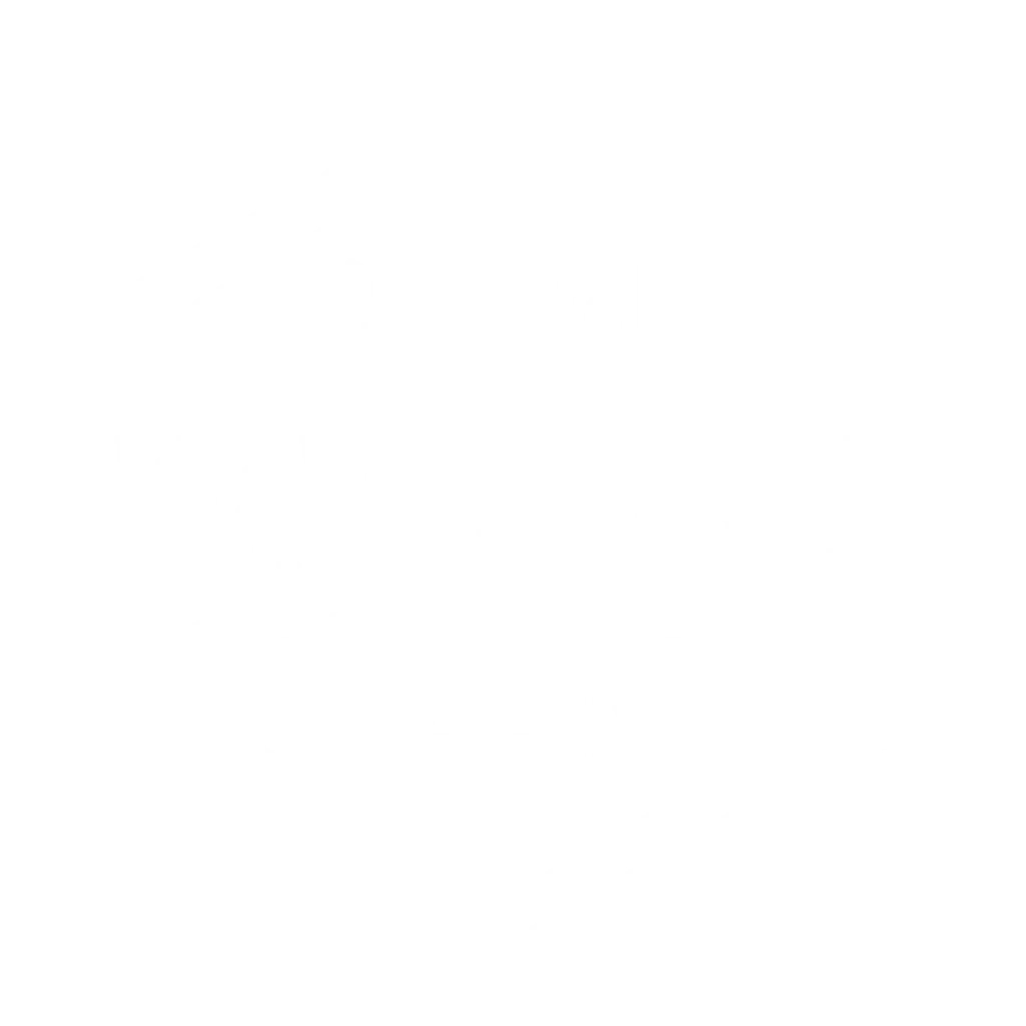 Cornwall Waverunner Safaris