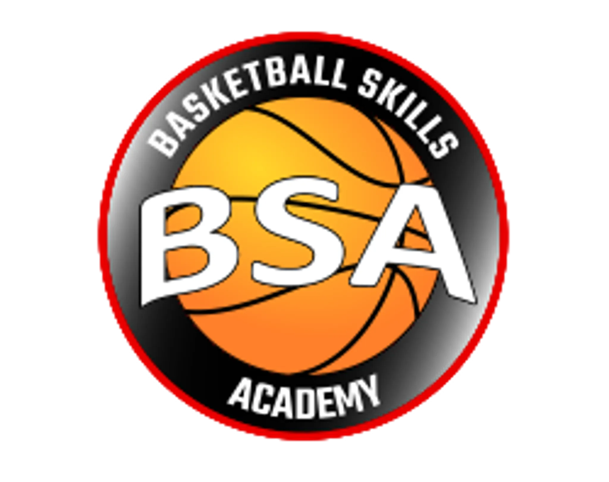 Basketball Skills Academy
