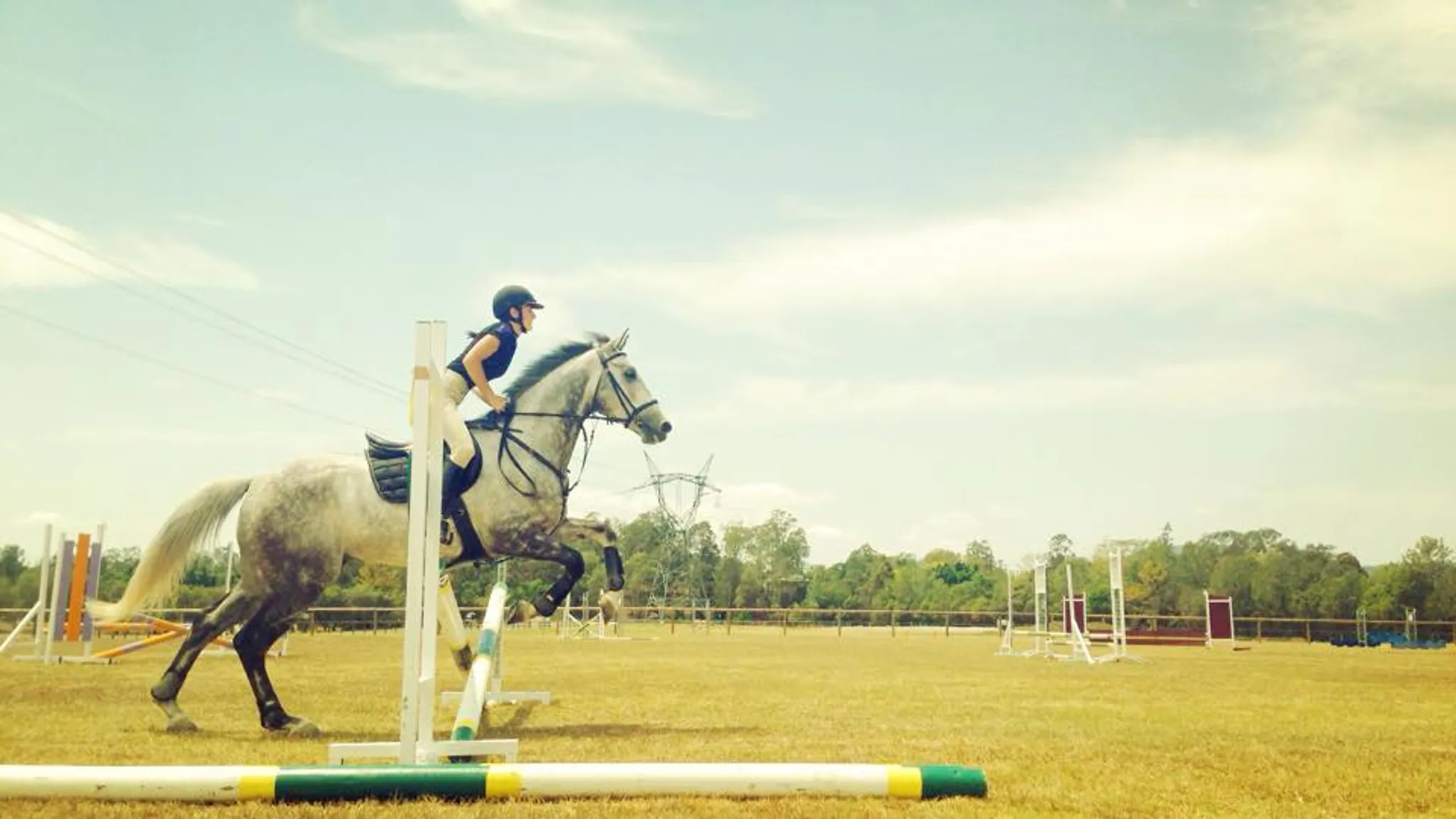 Samford Horse Riding