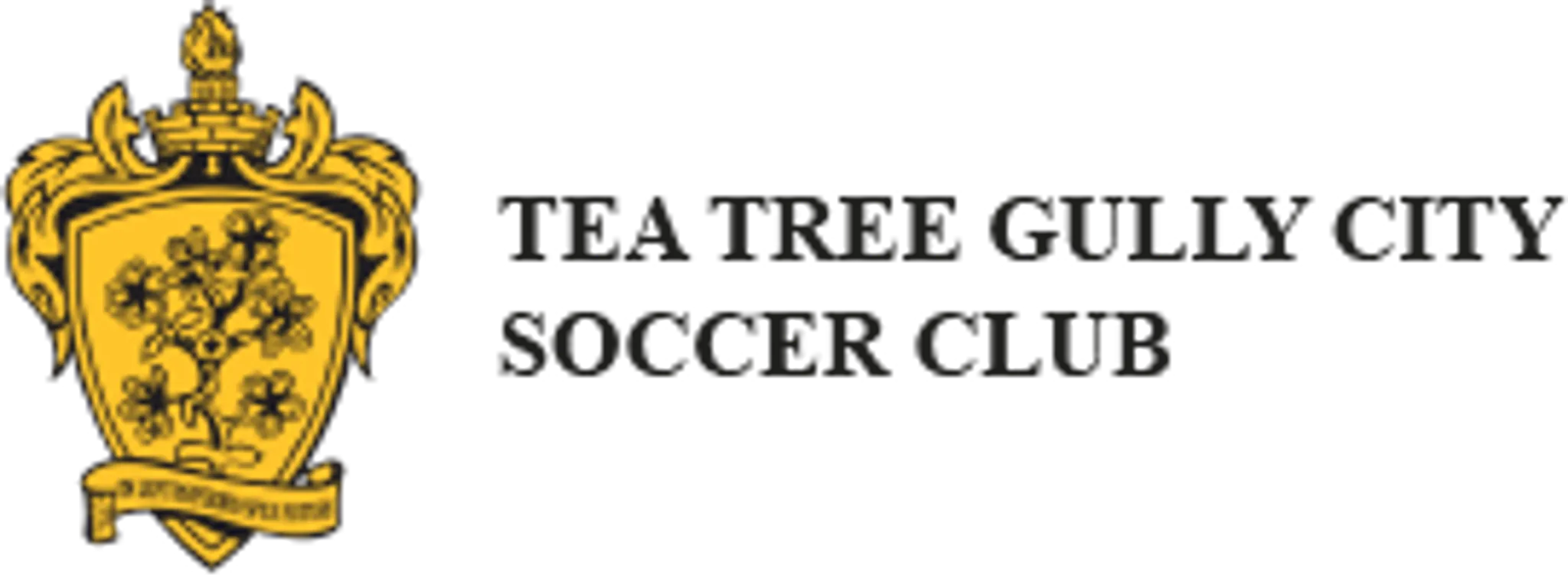 Tea Tree Gully City Soccer Club