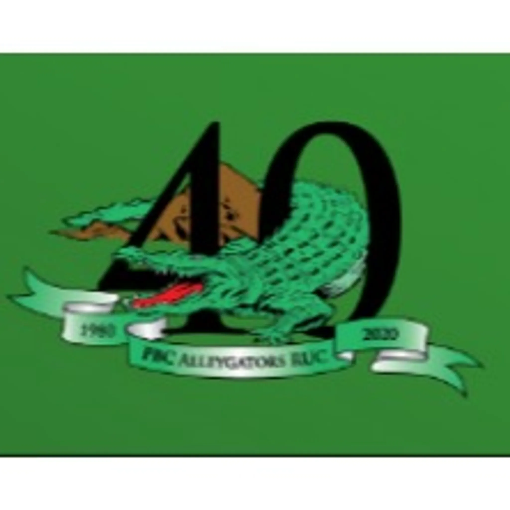 Palm Beach Currumbin Alleygators Rugby Union Club