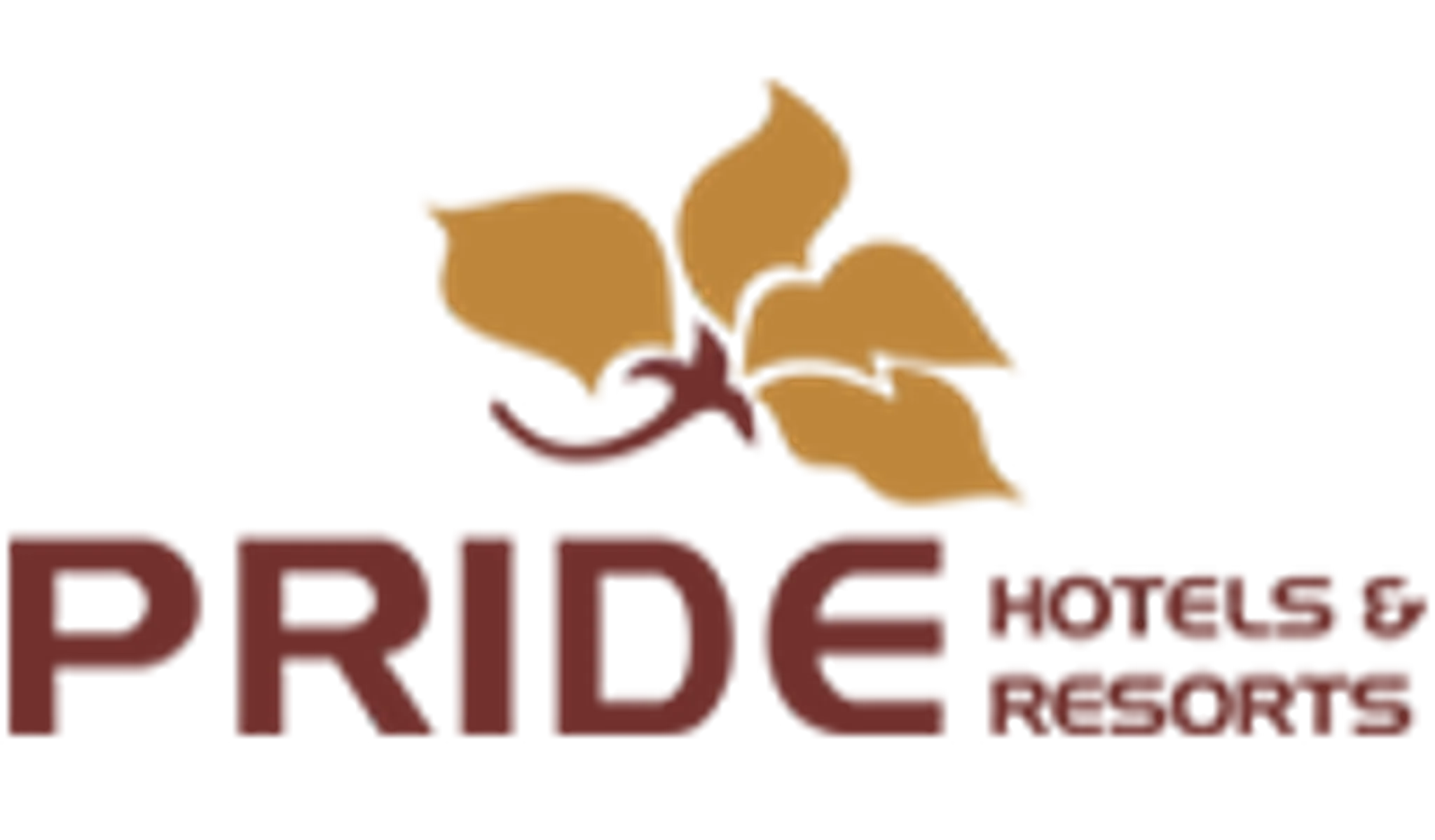 Pride Biznotel Manjusar