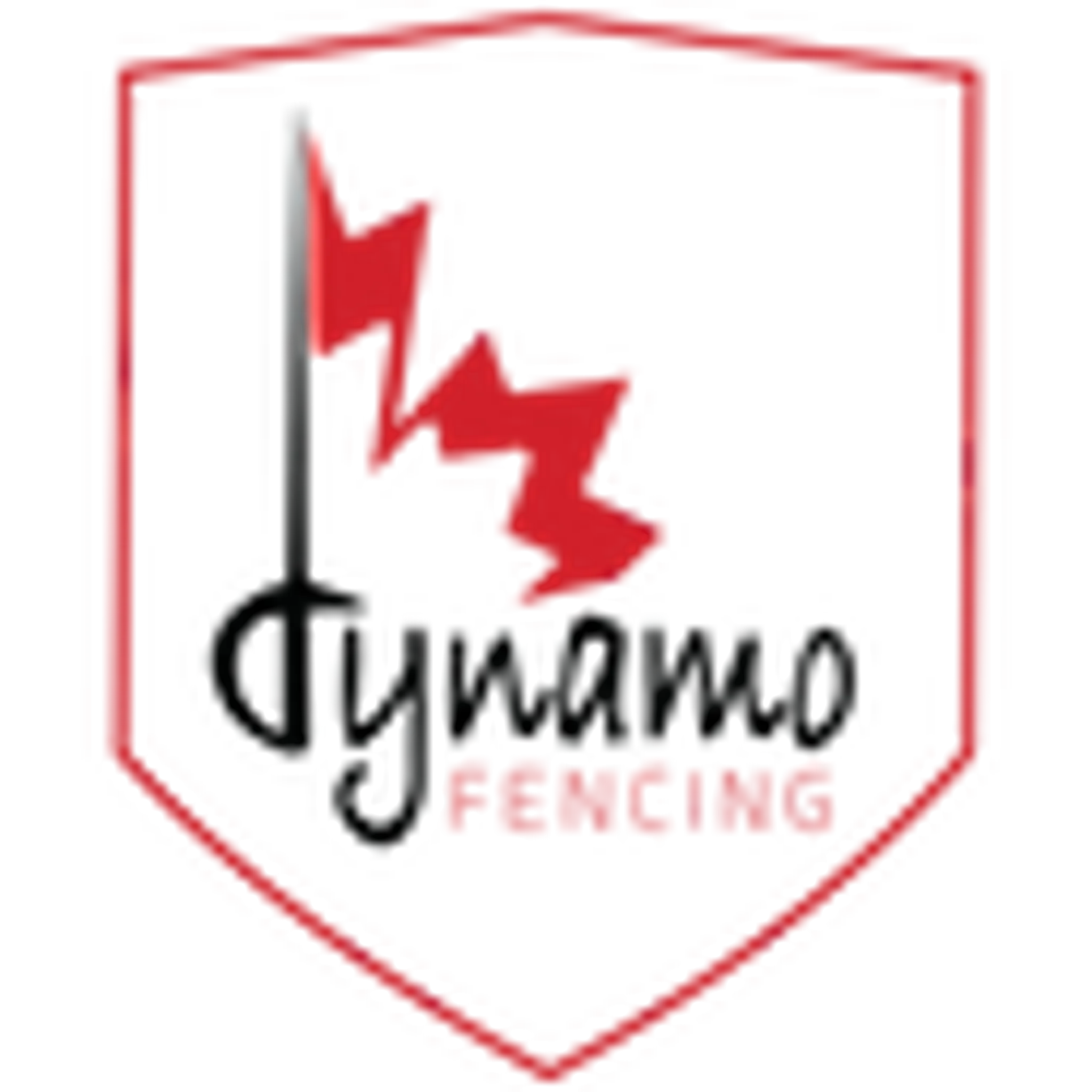 Dynamo Fencing Richmond