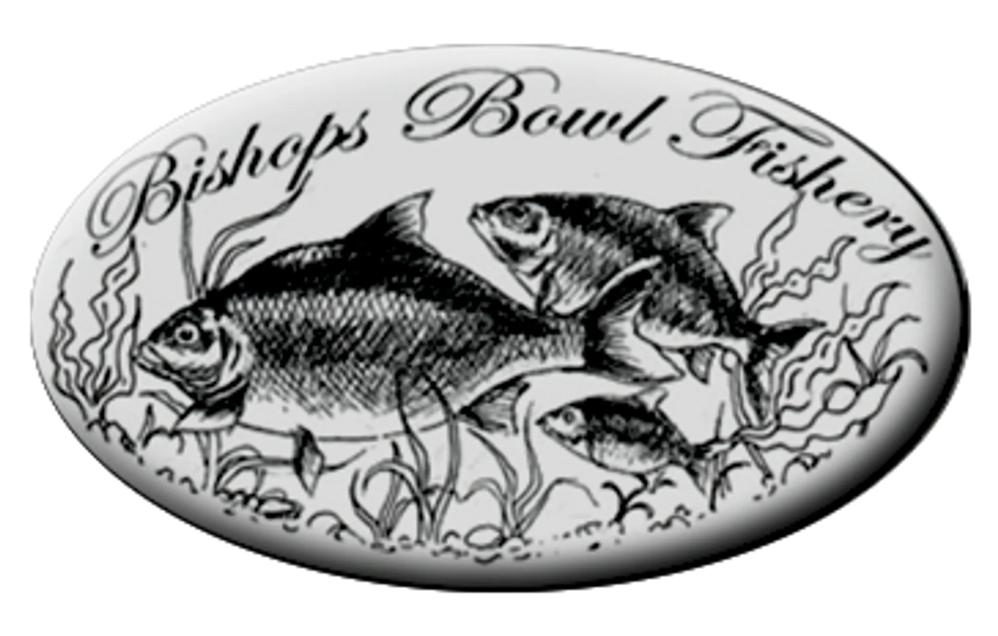 Bishops Bowl Fishery