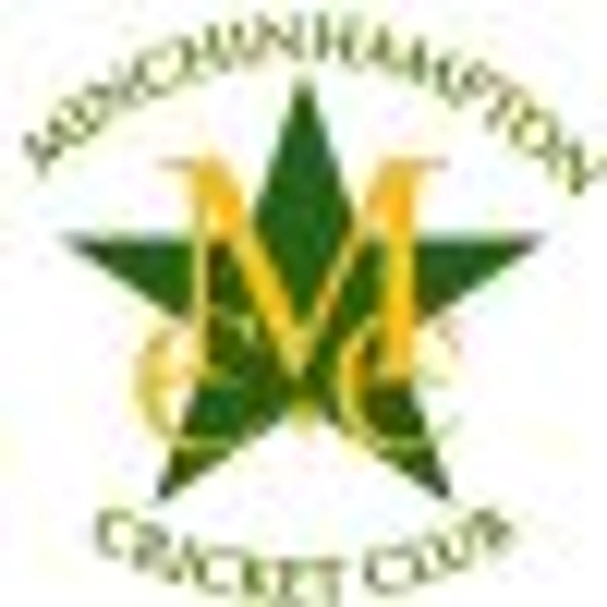Minchinhampton Cricket Club