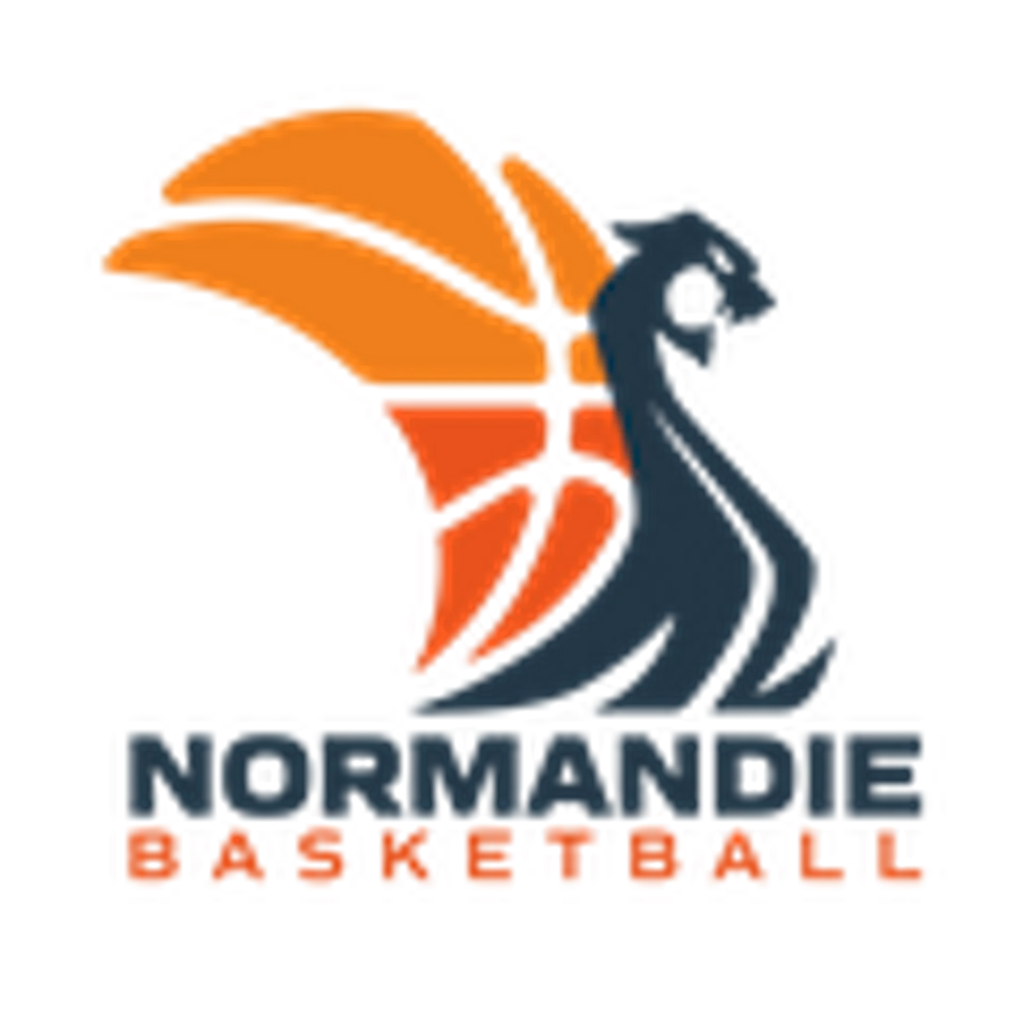 Comité Départemental de Basket-ball du Calvados