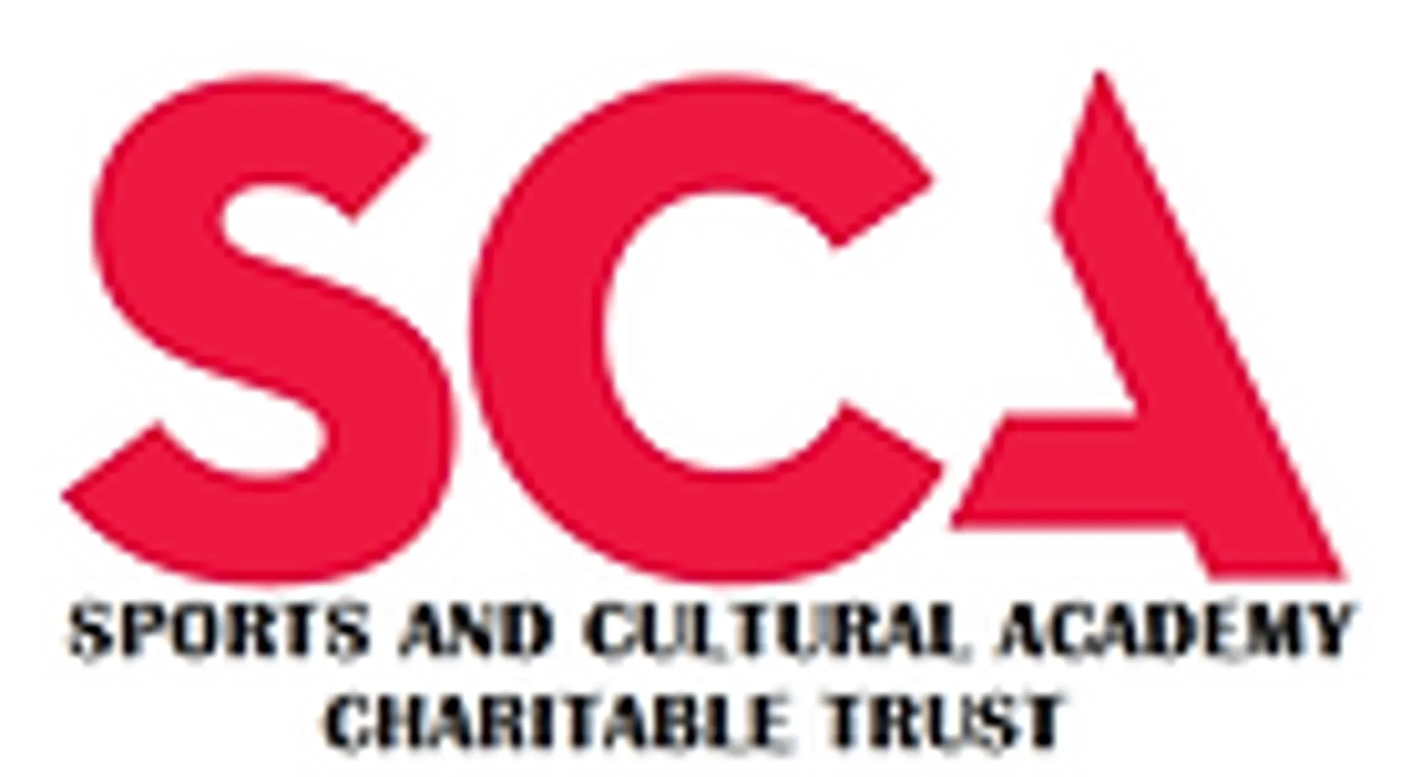 MEHSANA CRICKET ACADEMY