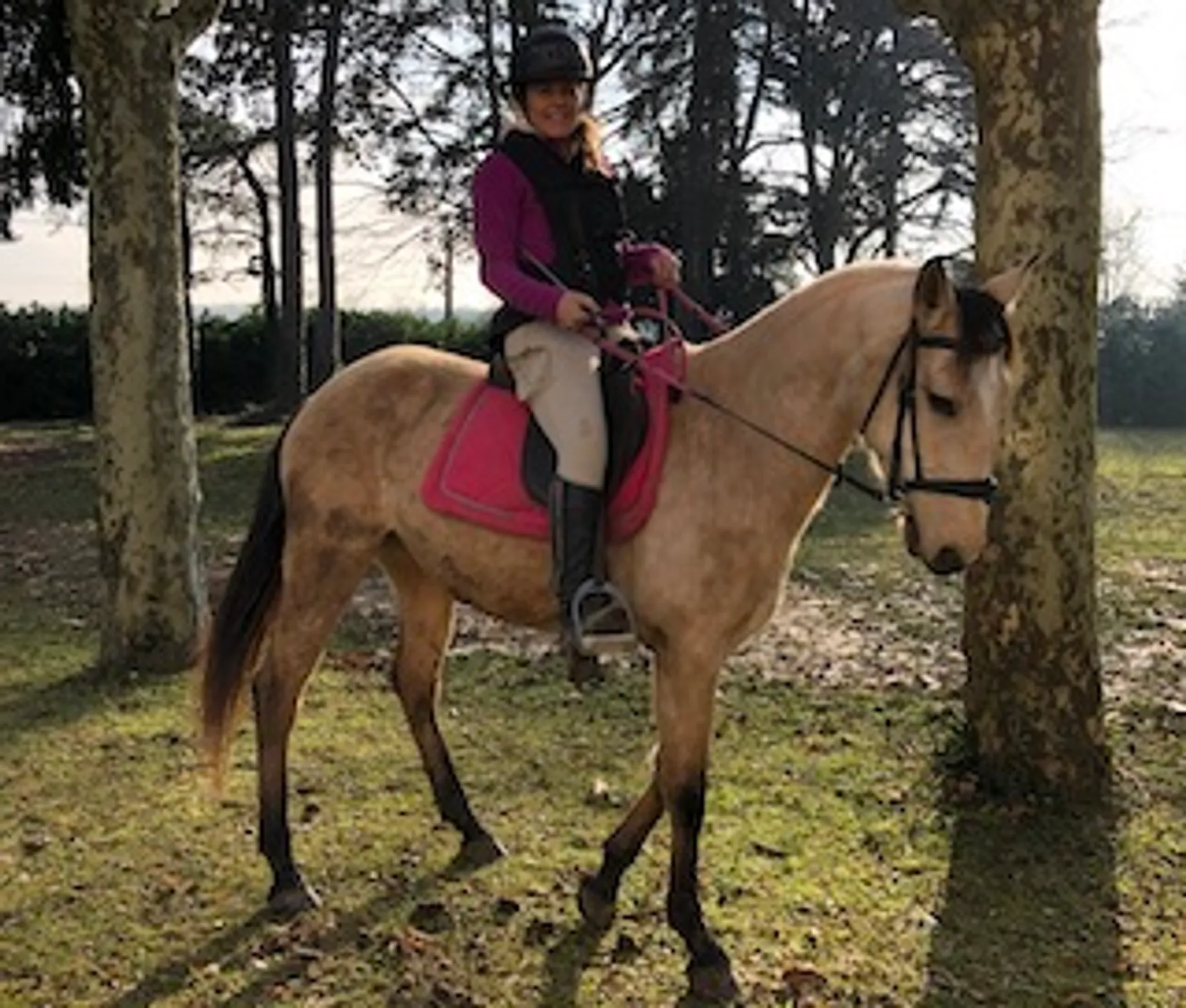 Equitation pleine nature