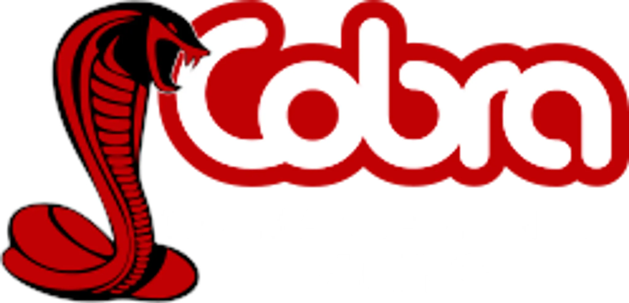 Cobra Badminton Racing