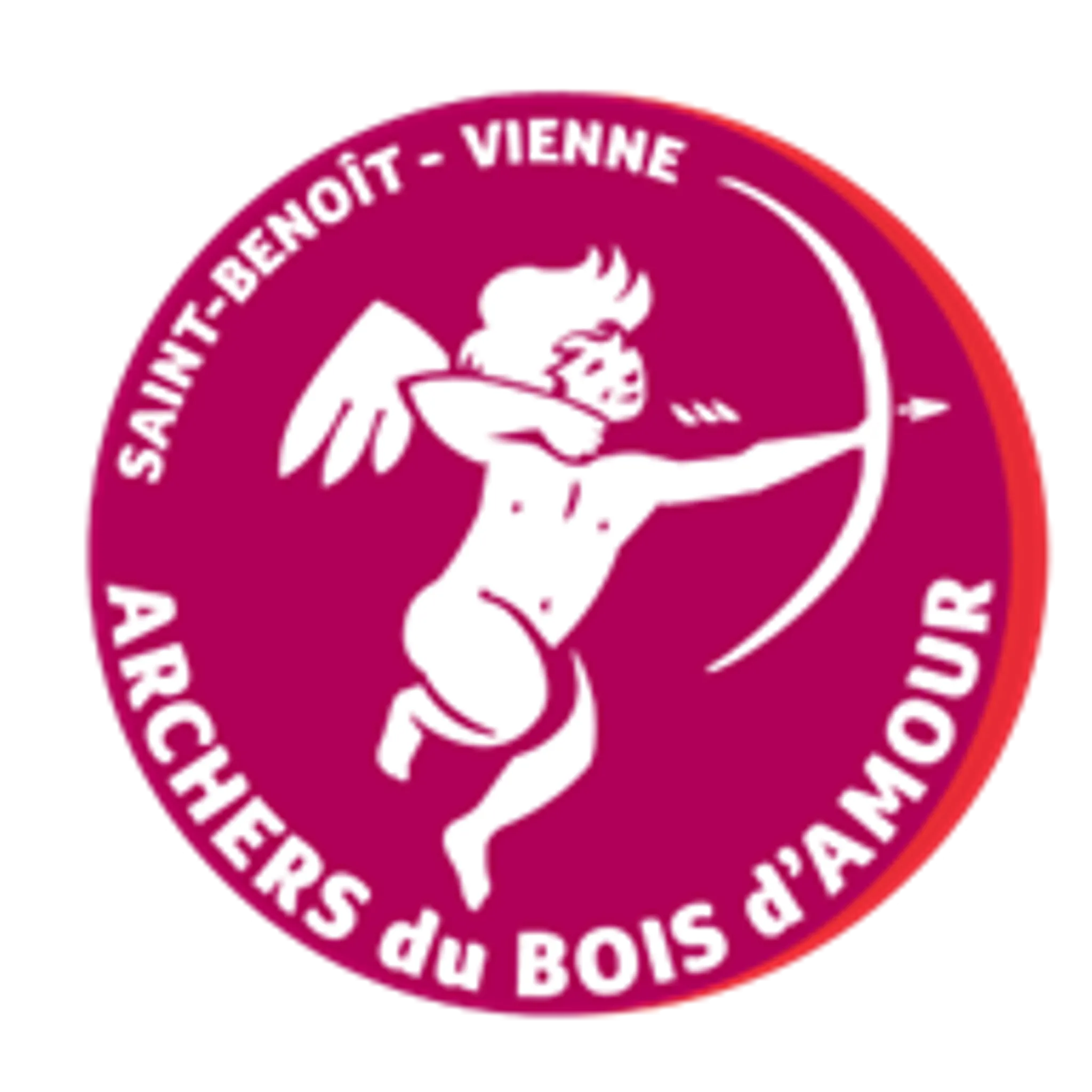 Archers du Bois d'Amour - Gymnase de l'Ermitage