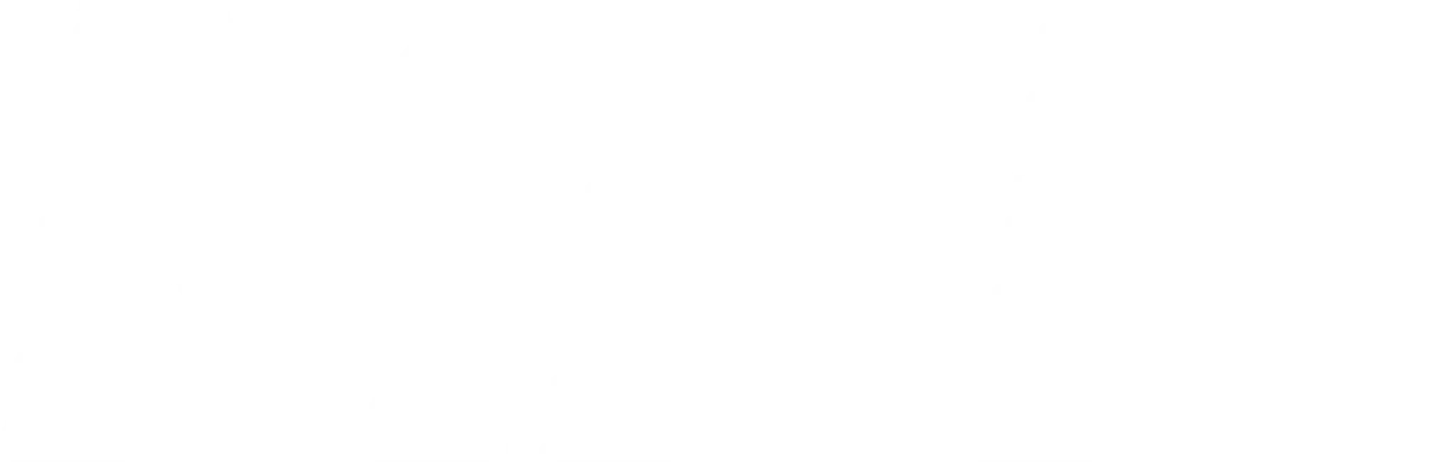 McFadden Performance