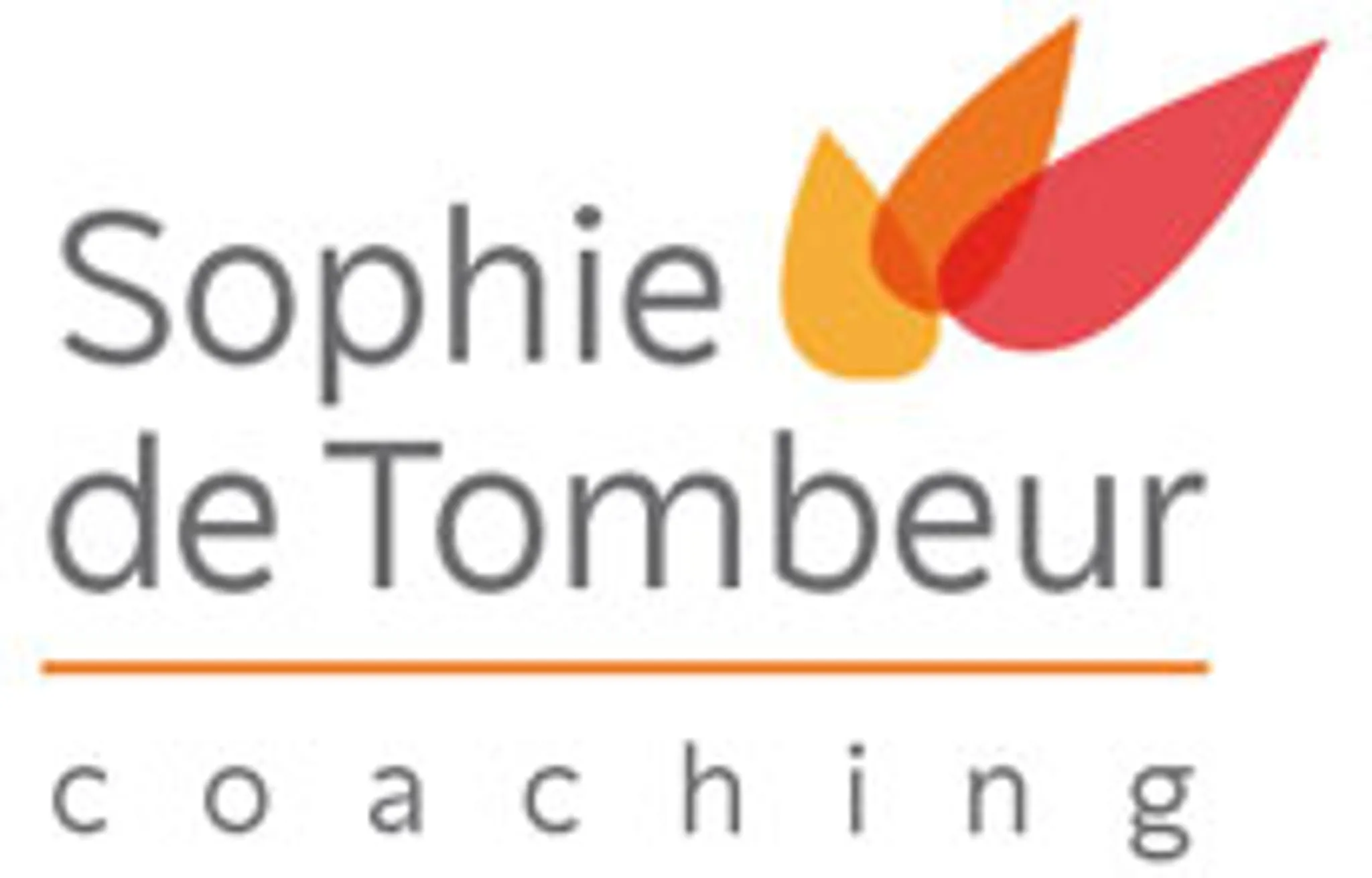 Sophie de Tombeur – coaching