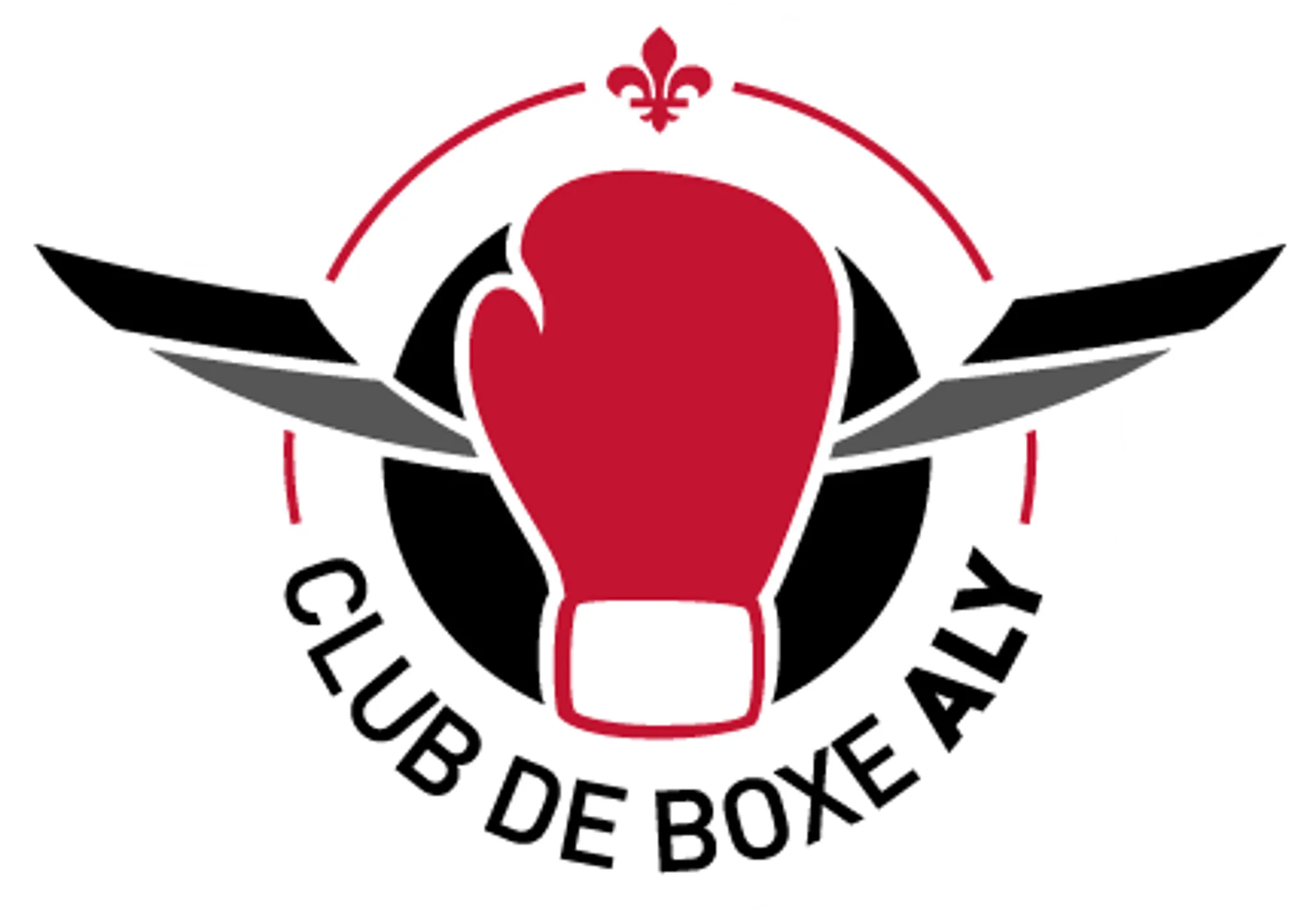 Club De Boxe Aly, Cours De Boxe Pour Dbutants Et Comptiteurs De Tous ges