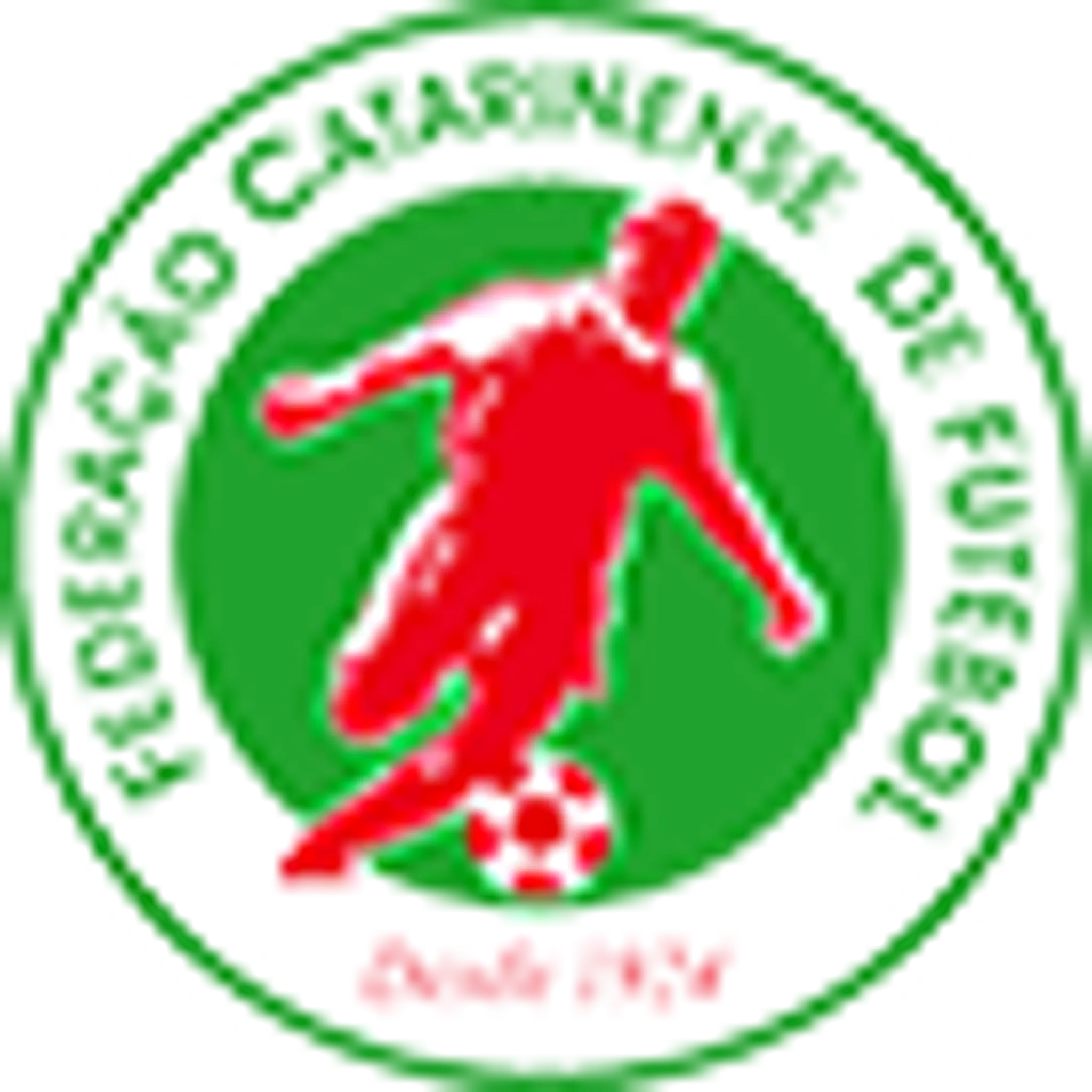 Liga Blumenauense de Futebol
