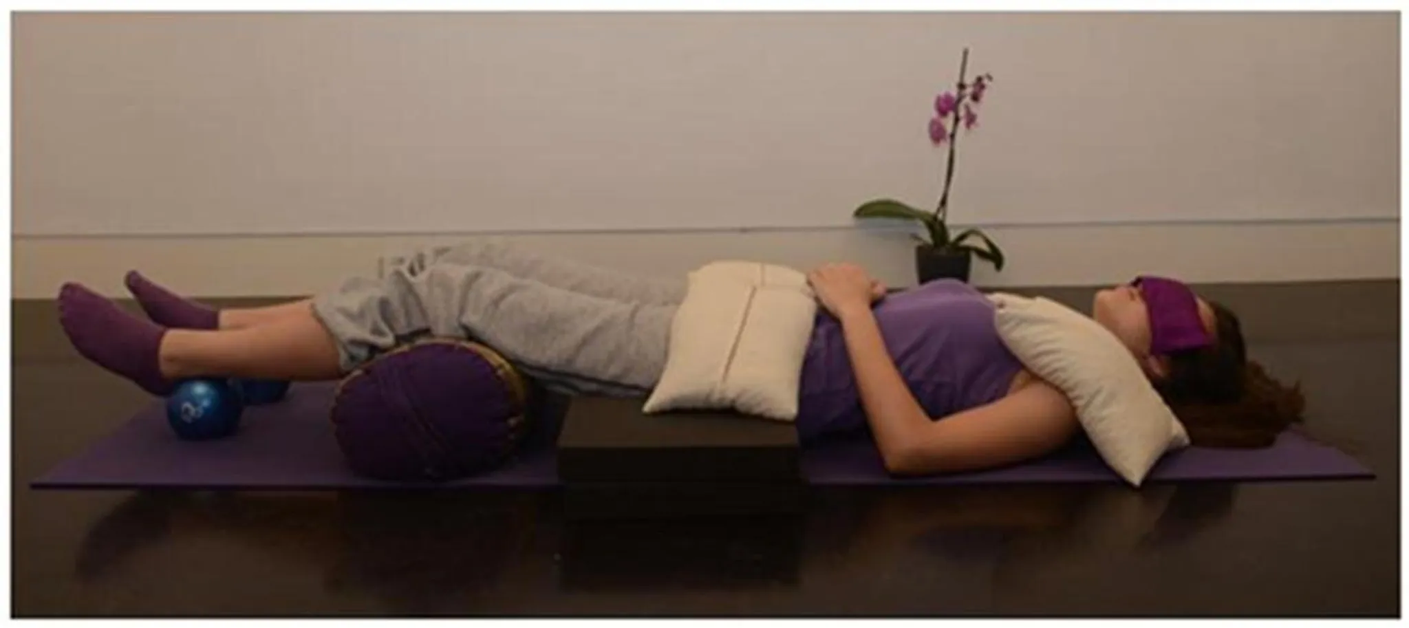 Workshops, Private Sessions & more!