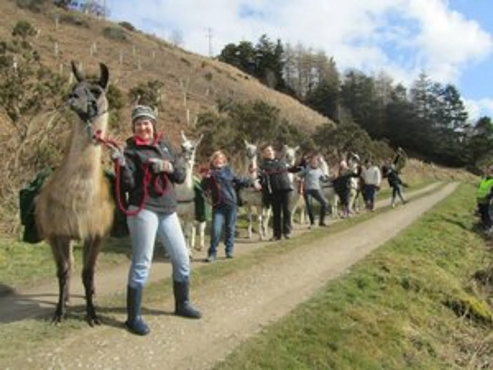 Gorge Walking Adventure, Foraging & Forest Bathing